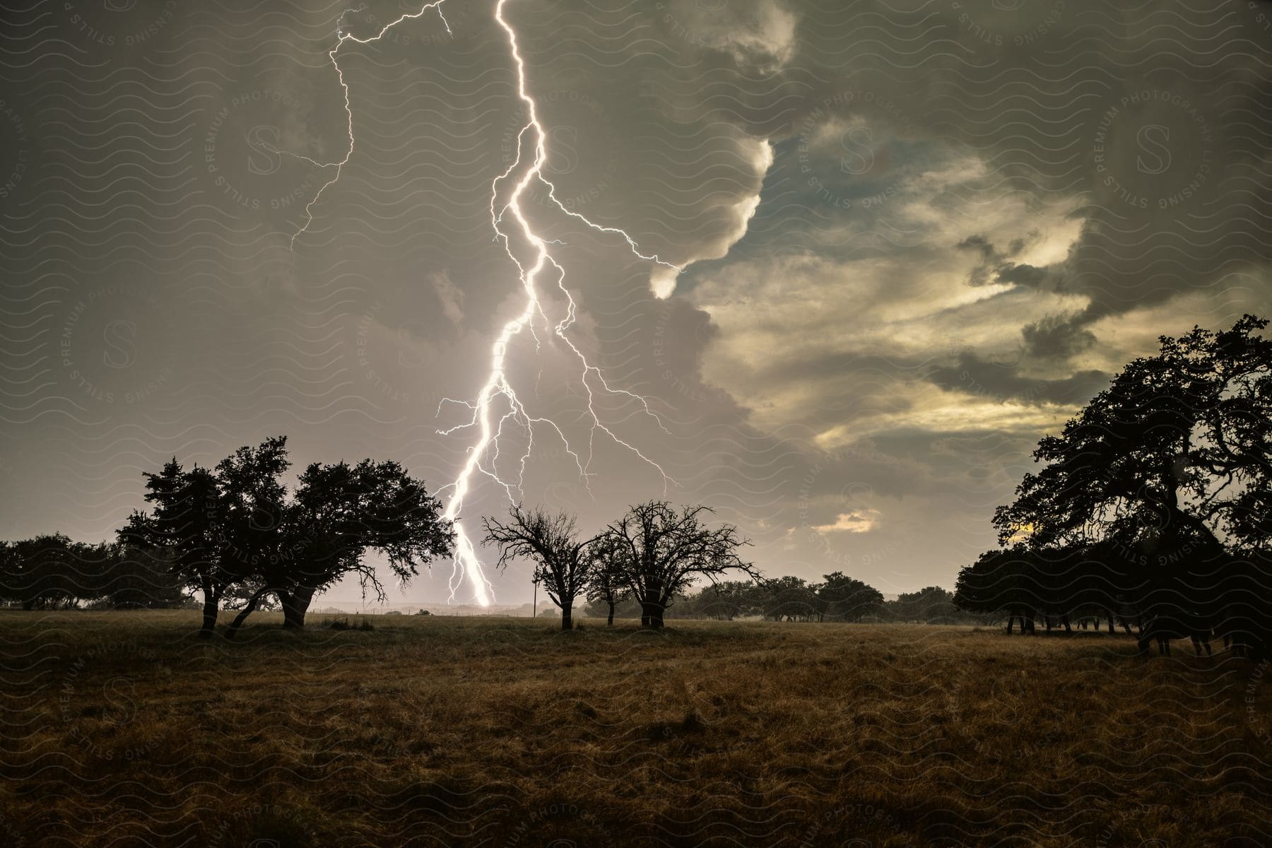 A Field During A Storm