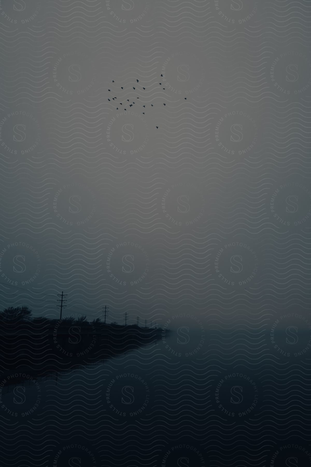 Utility poles hold cables along the coast as a flock of birds fly in a foggy sky