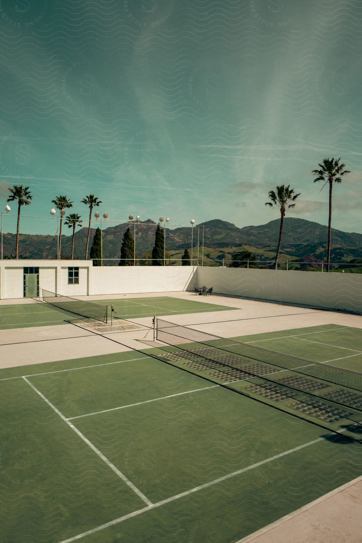Palm trees surrounding two tennis courts in an outdoor setting during the day