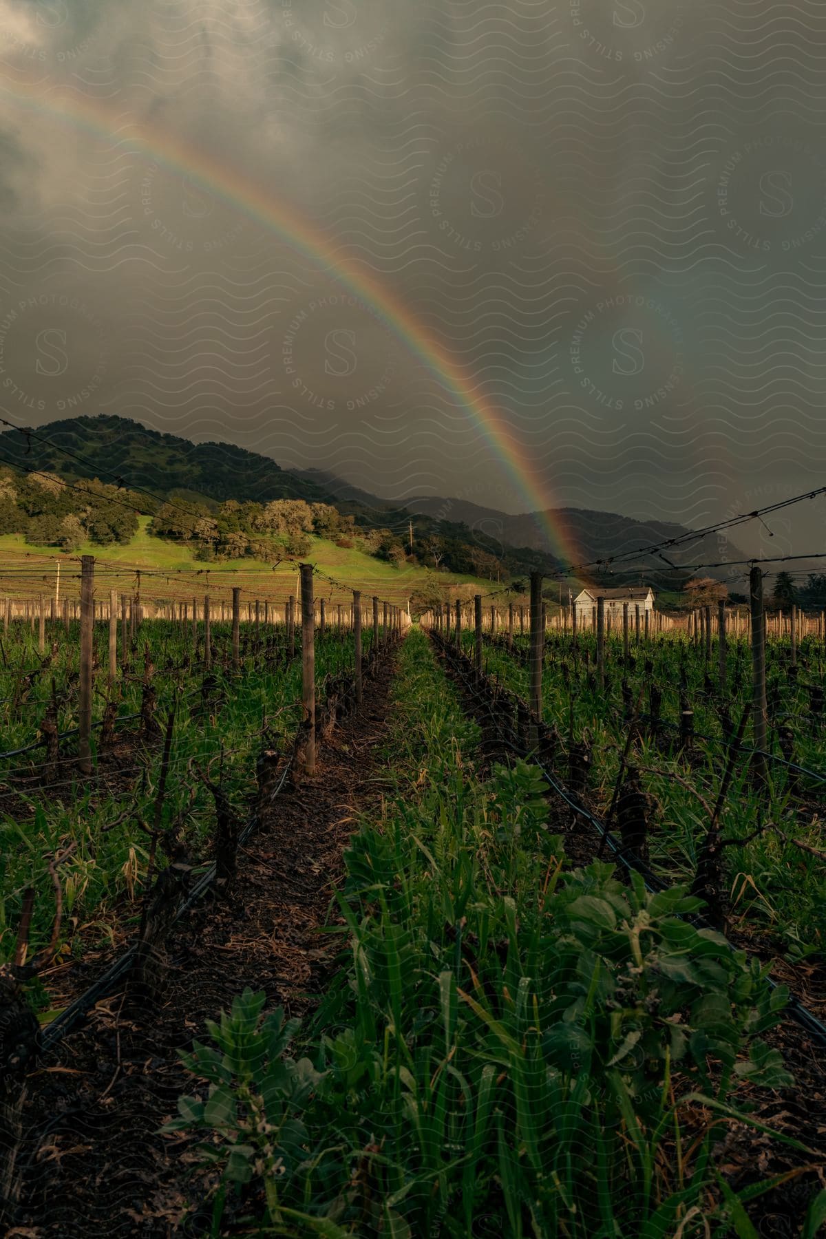 A rainbow stretches over farmland in a dark stormy sky with mountains in the distance