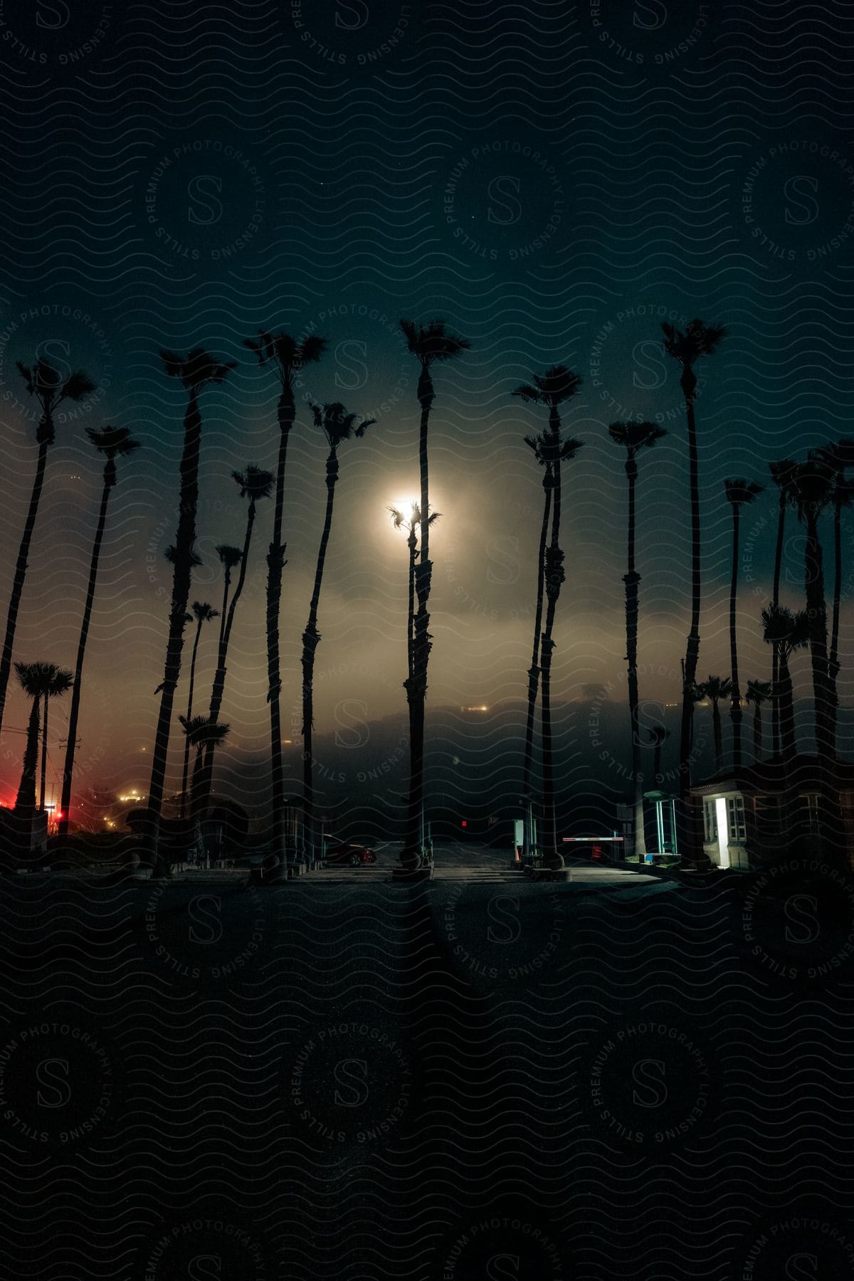 Full moon night illuminating a parking lot with palm trees