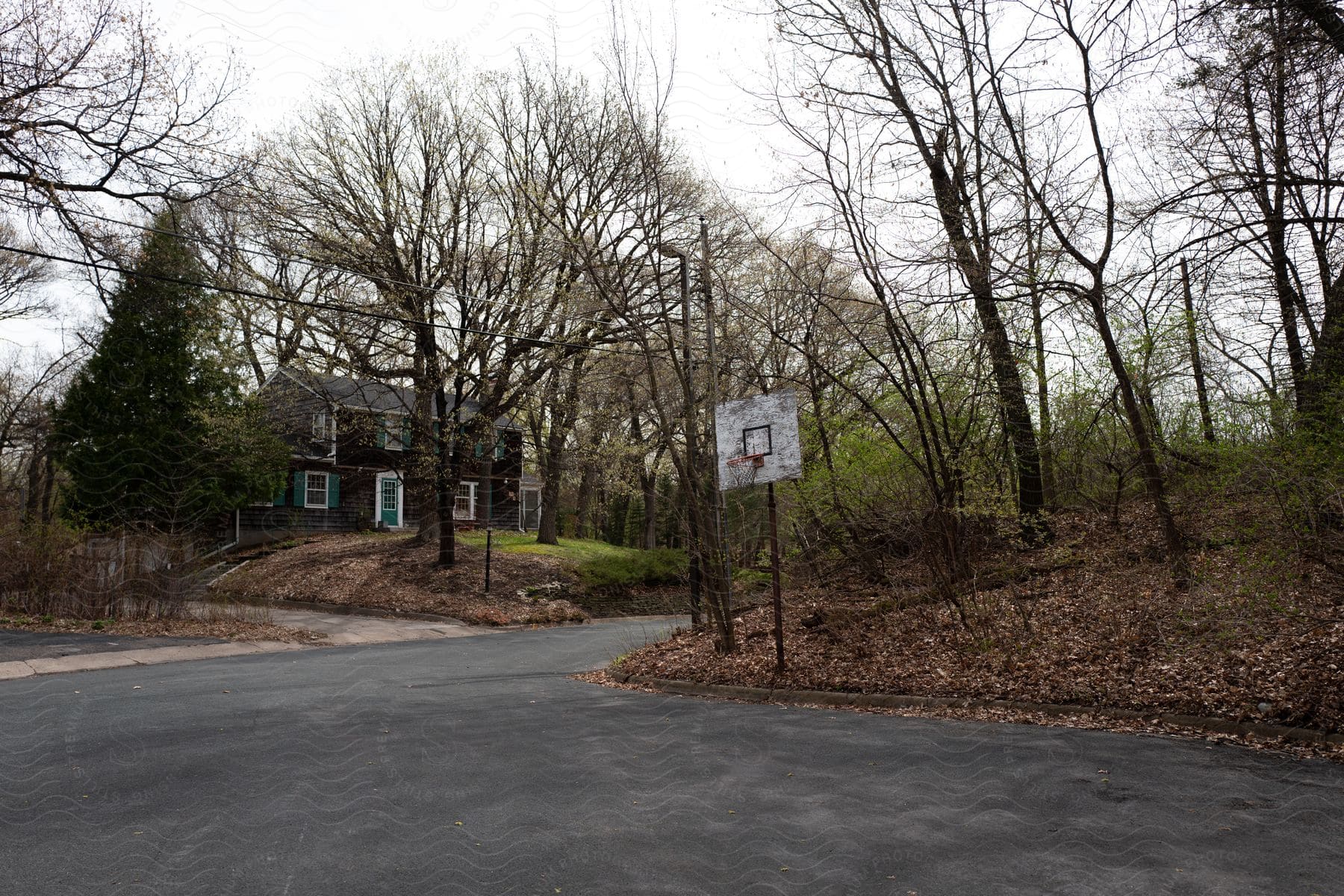 A basketball hoop stands near a road in a neighborhood with a house across the street
