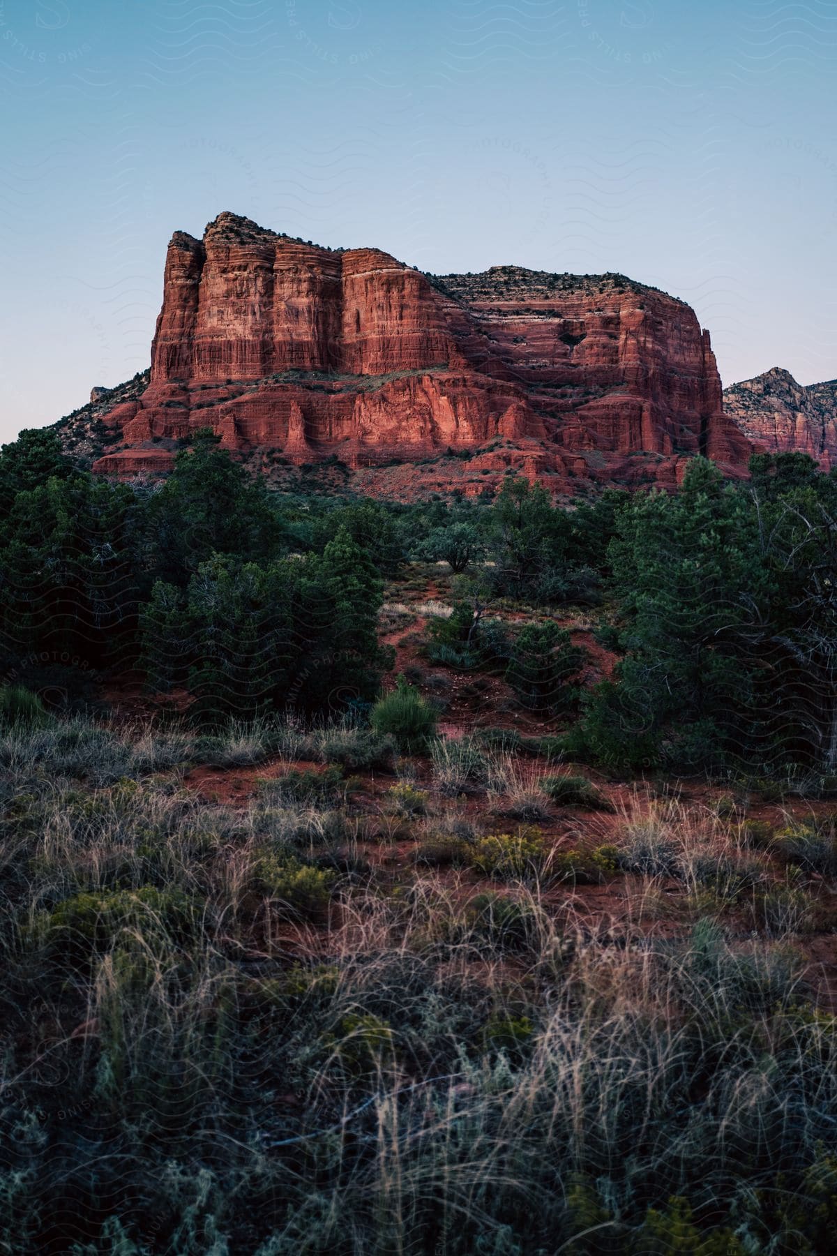 A colorful mesa stands in a grassy plain surrounded by trees on a clear day