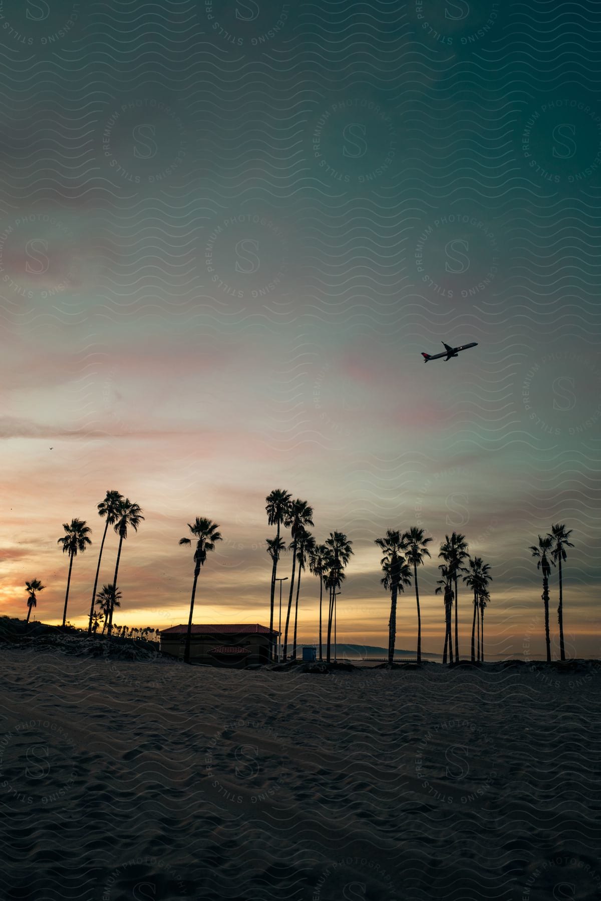 A serene sunset landscape with a palm tree and an airplane landing