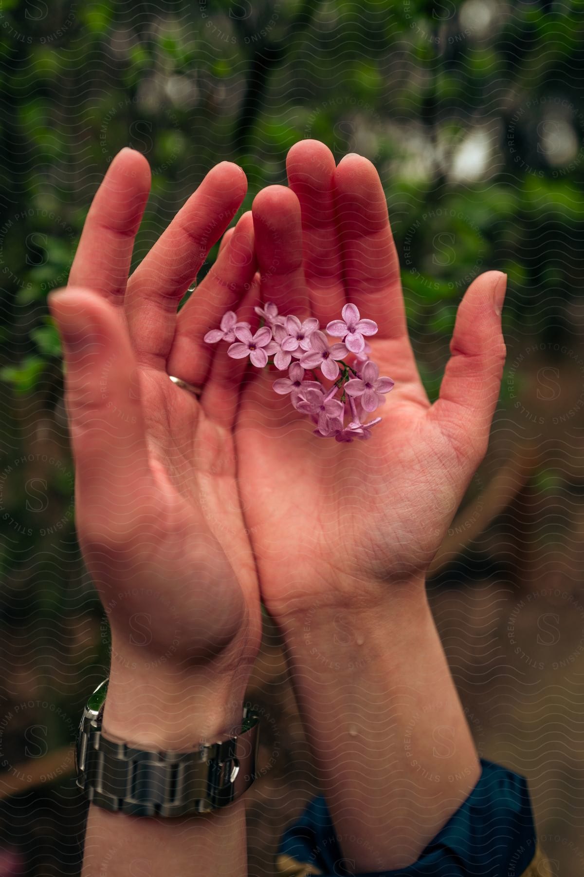 A man holding flowers up close