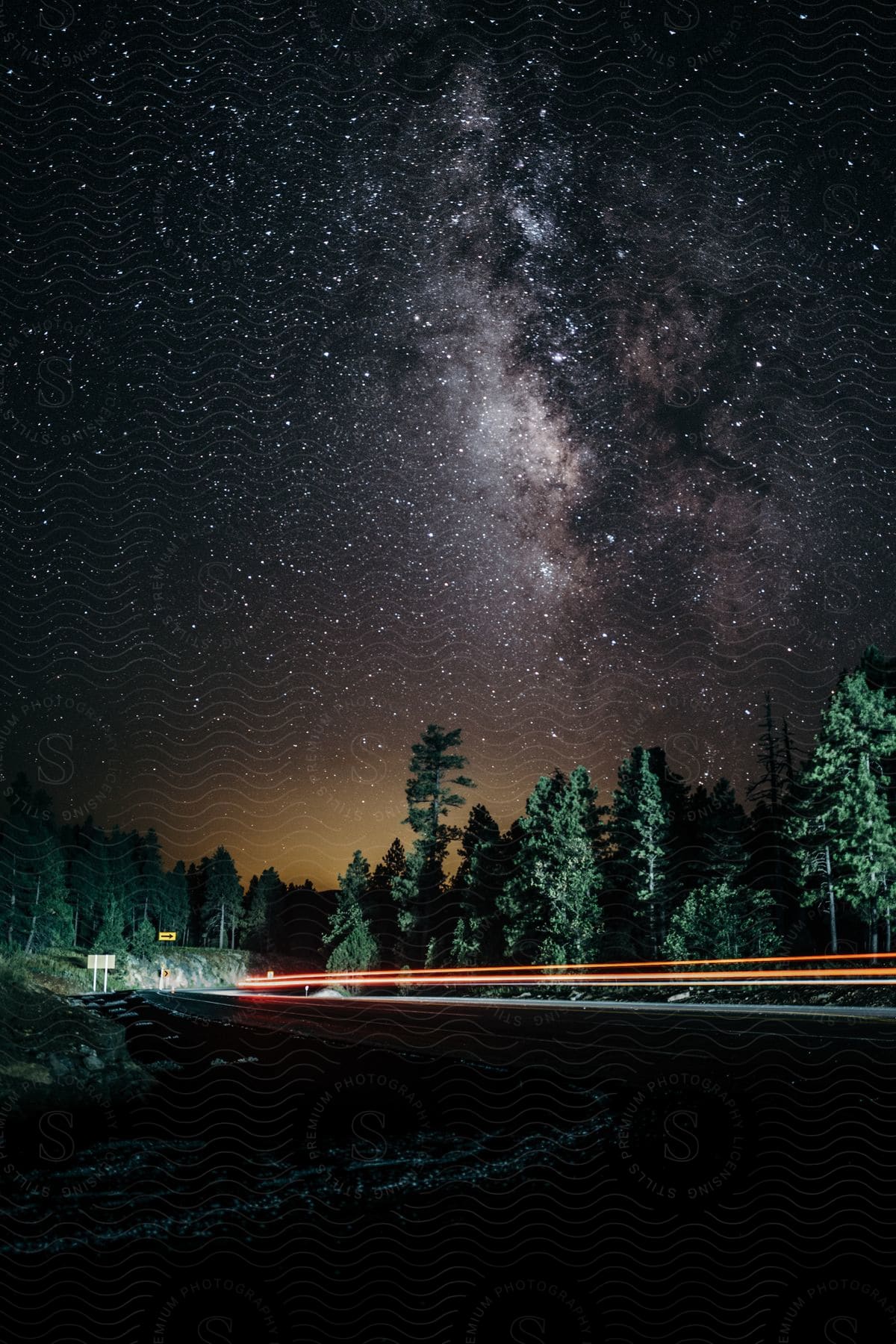 A night scene with a starry sky trees and vegetation