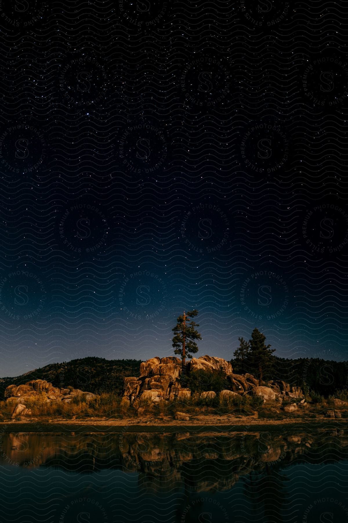 A starry sky over a lake with a tree growing from rocks on the bank