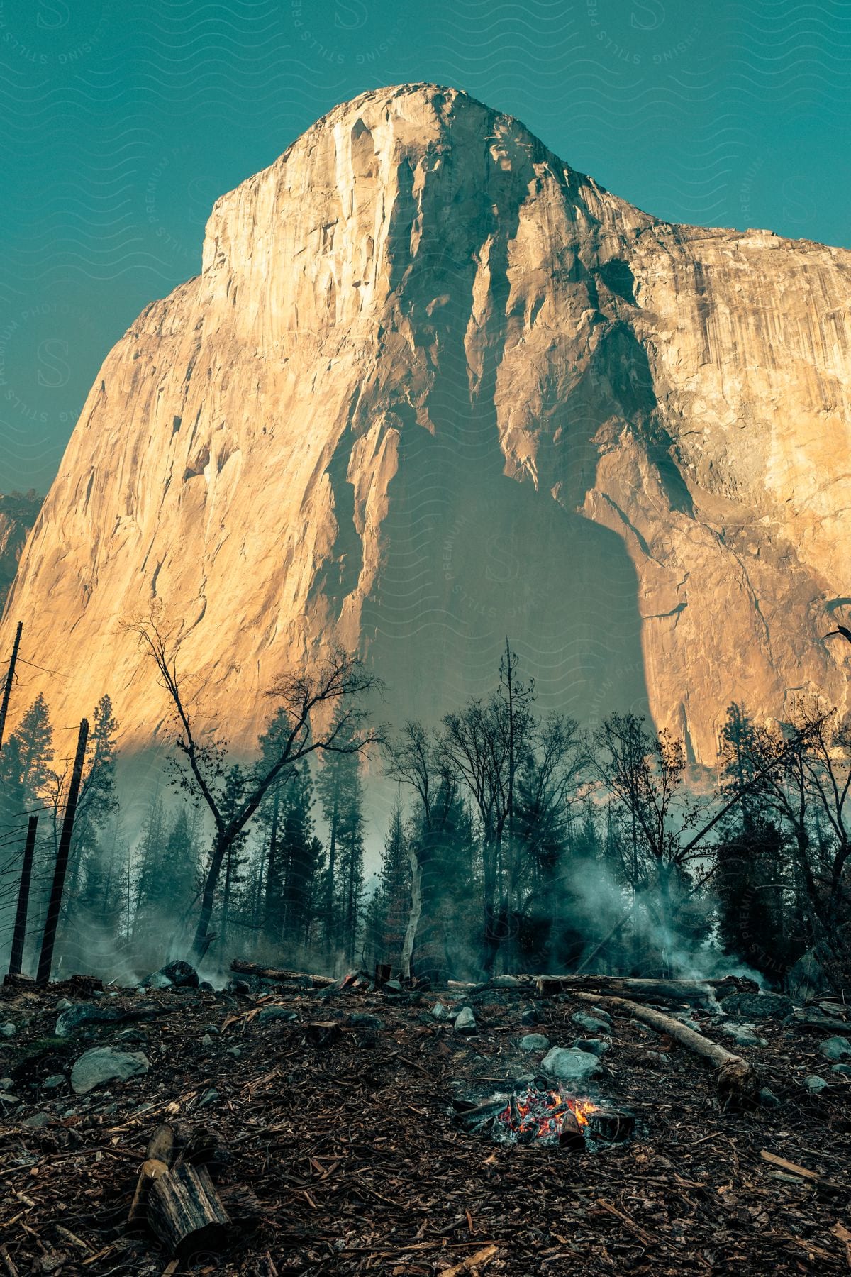 A campfire smolders in a forest at the base of a huge cliff