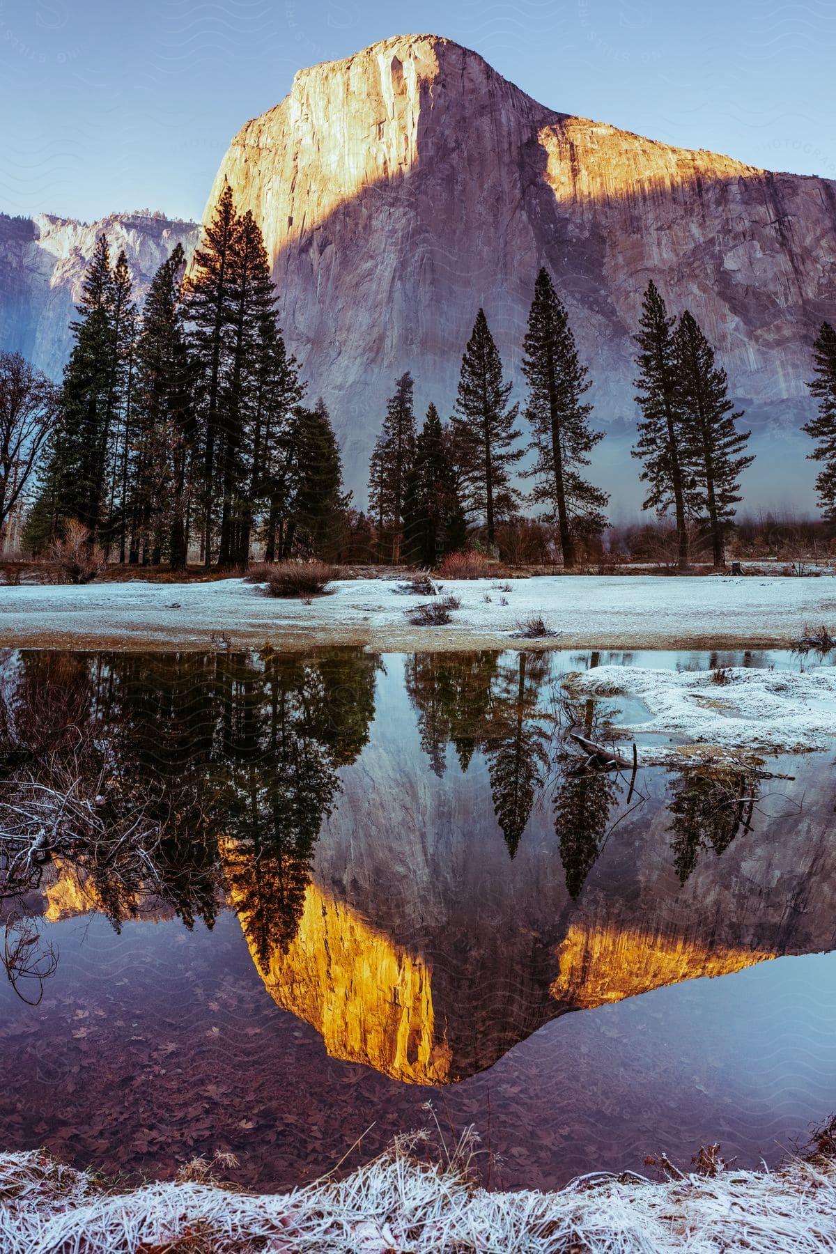 Mountain range reflected in a calm lake surrounded by trees