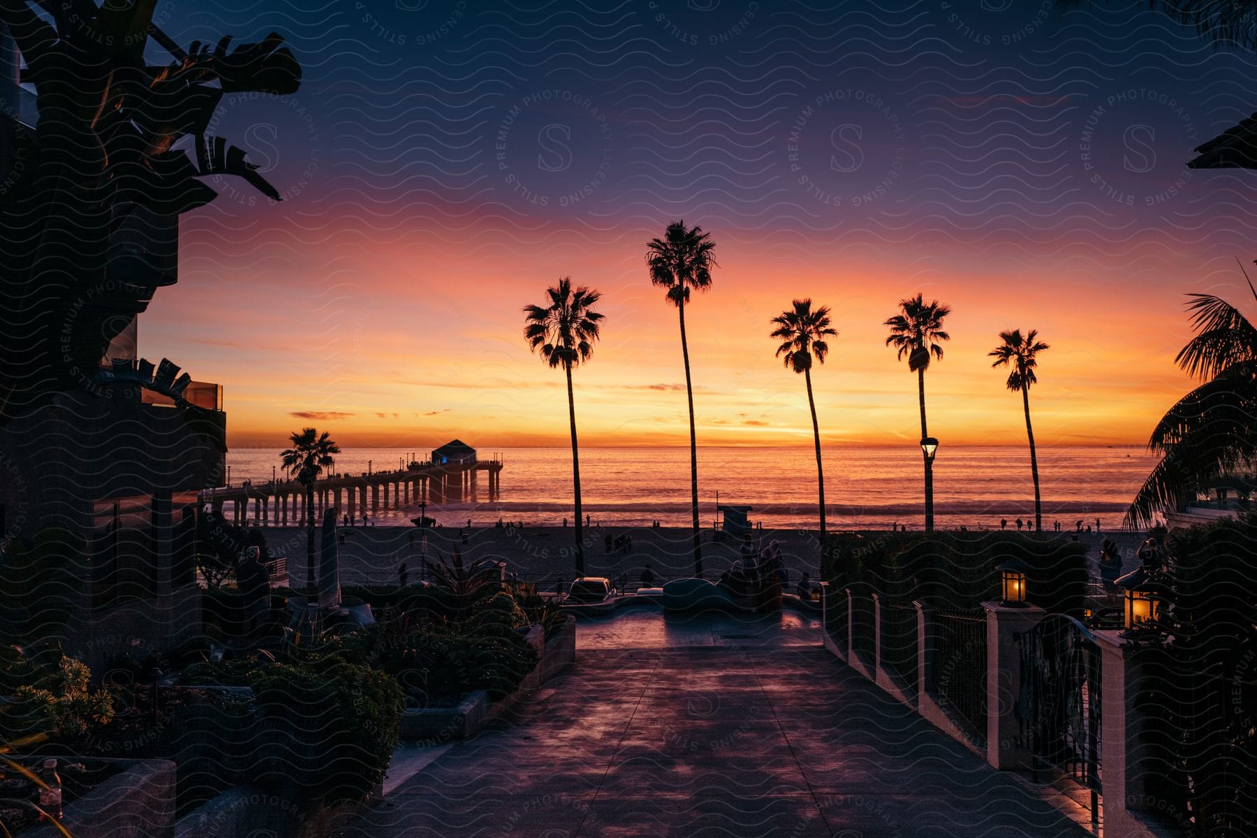 A tranquil urban waterfront scene with a palm tree and a beautiful sky at dusk