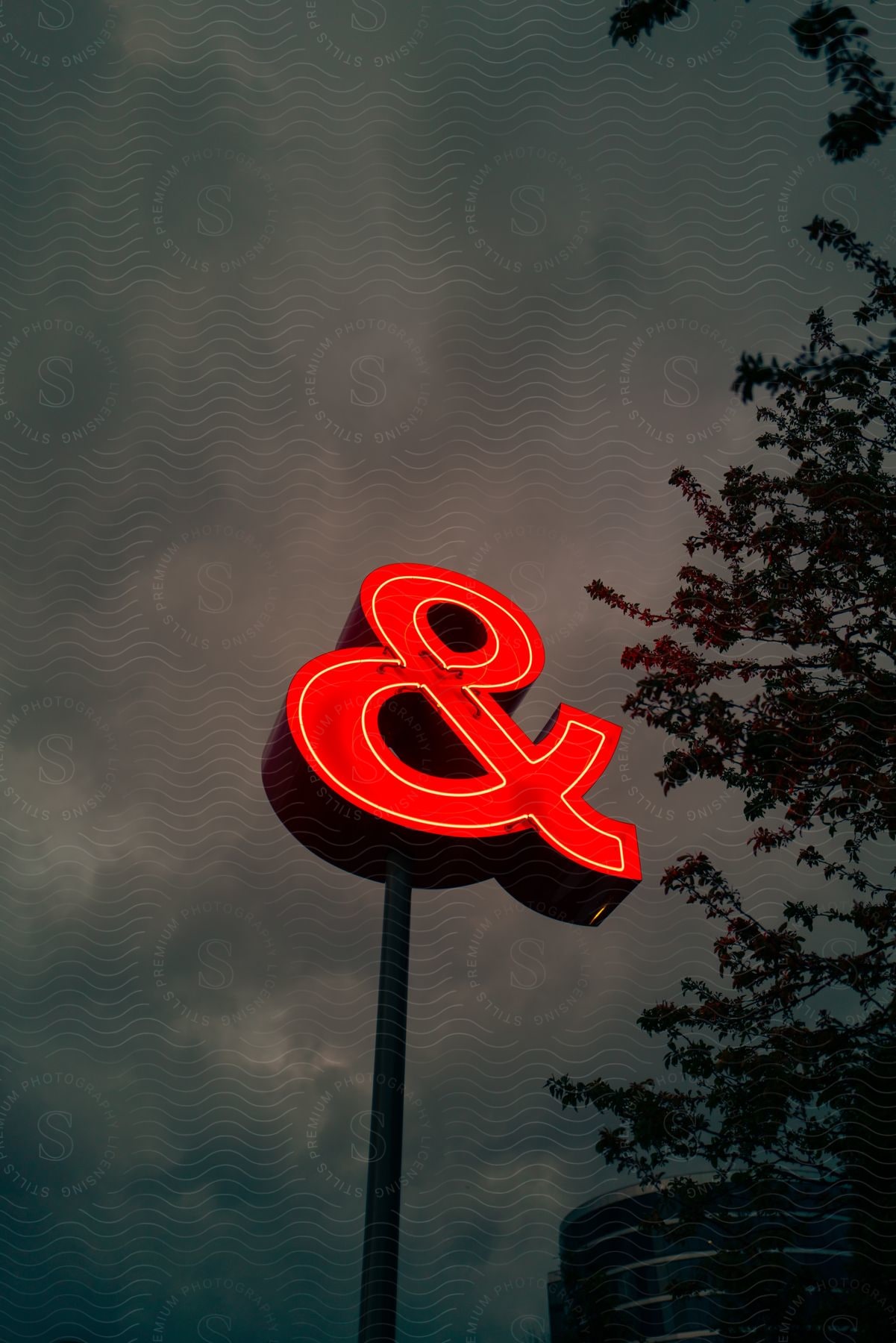An ampersand neon sign next to a tree shines brightly under a dark cloudy sky in an urban setting