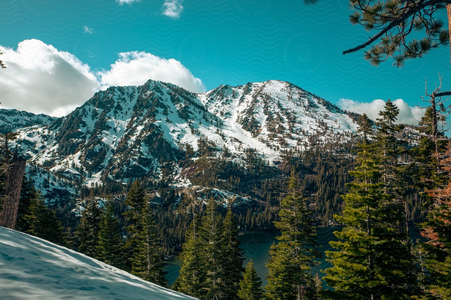 A sunny day at a lake with a partially snowcovered mountain range and trees