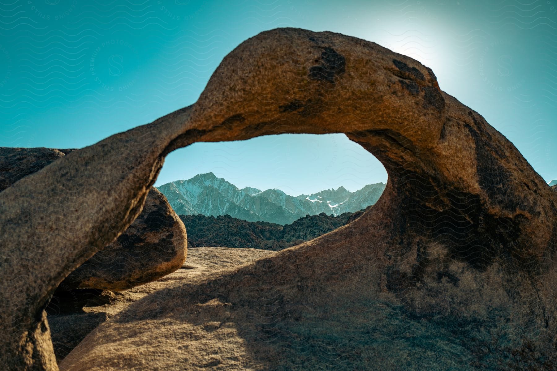 A natural landscape with wood and bedrock in brown tones