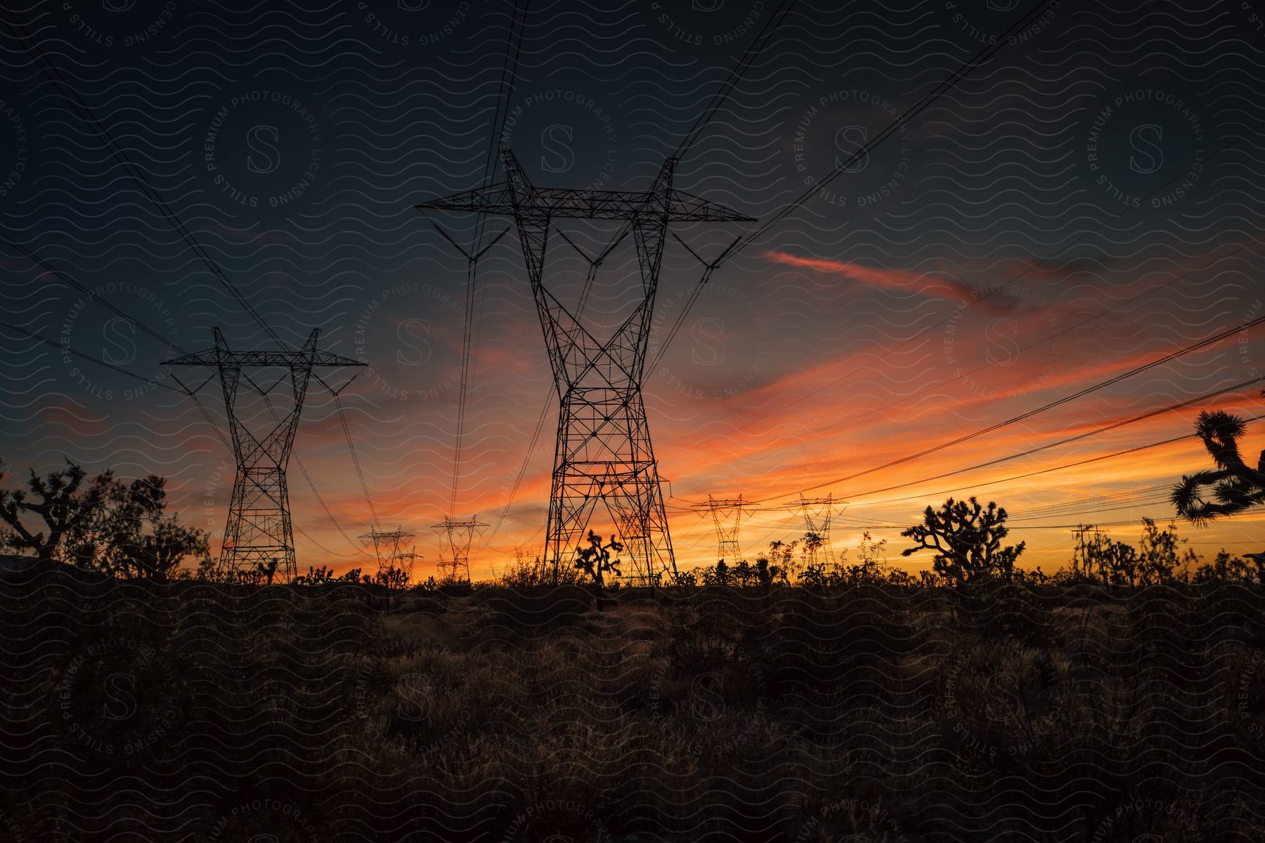 Utility towers and cables stretch across a field as the setting sun colors the sky