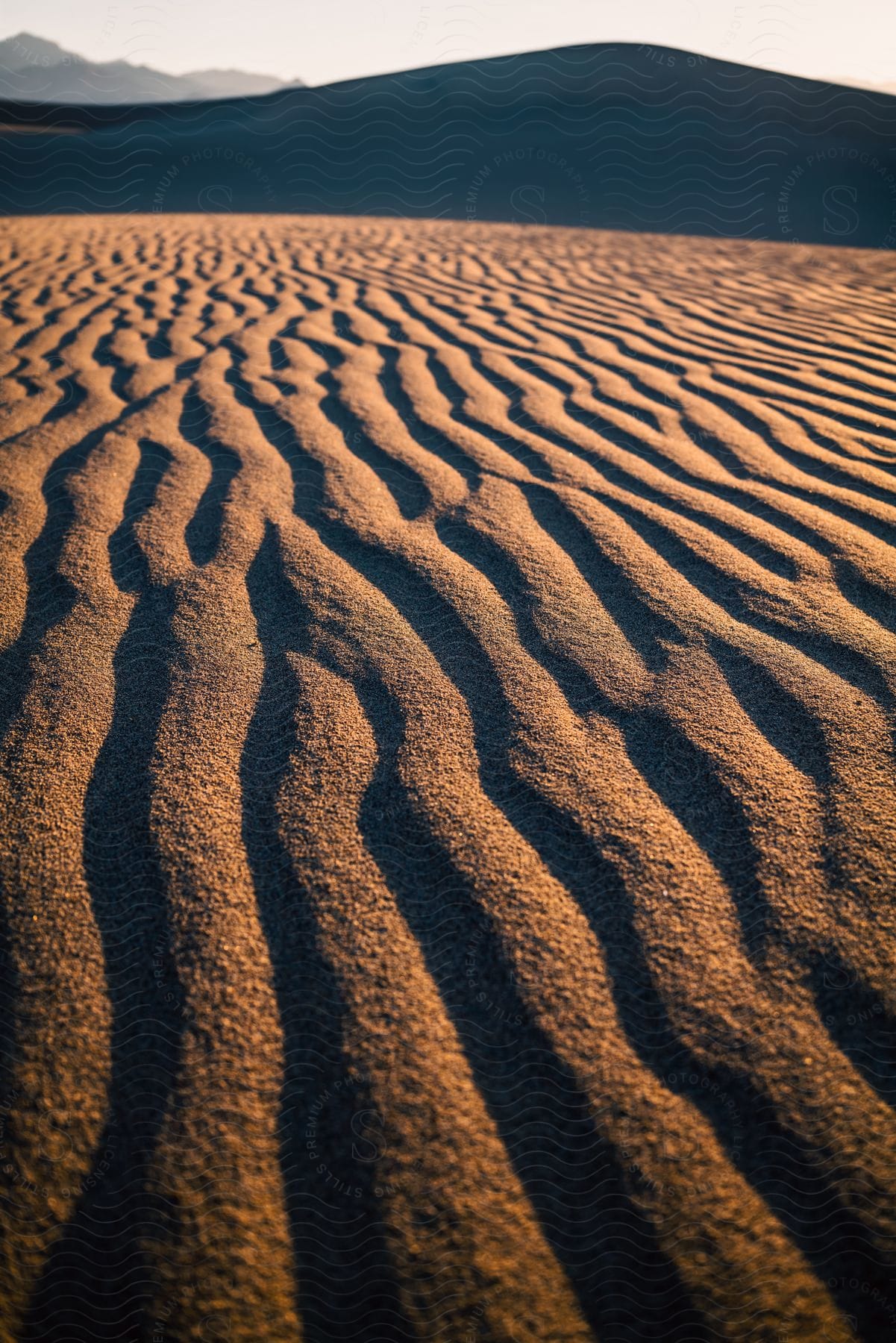 A desert dune with a natural landscape and a clear horizon