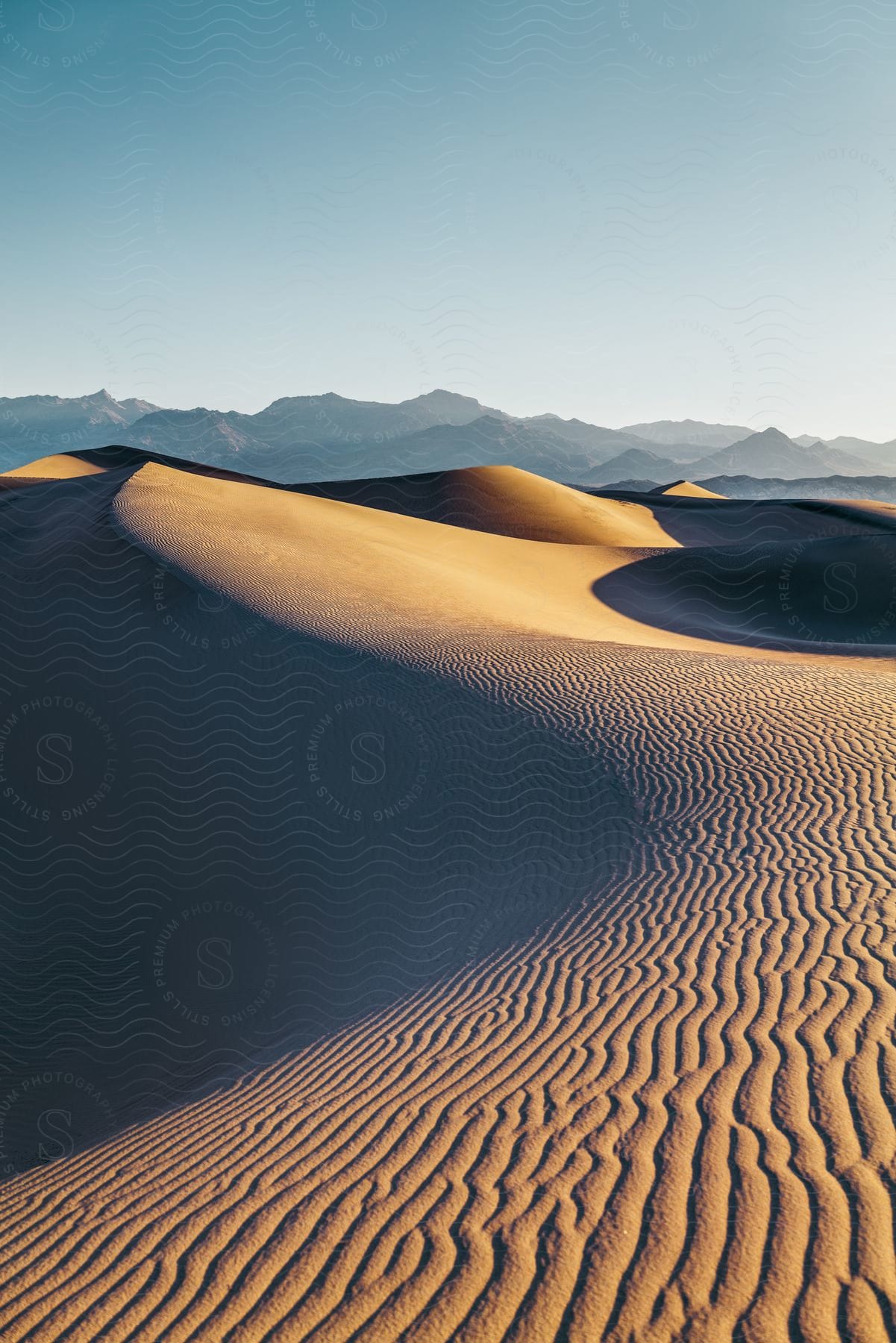 Golden dunes with deep shadows and mountains against a blue sky