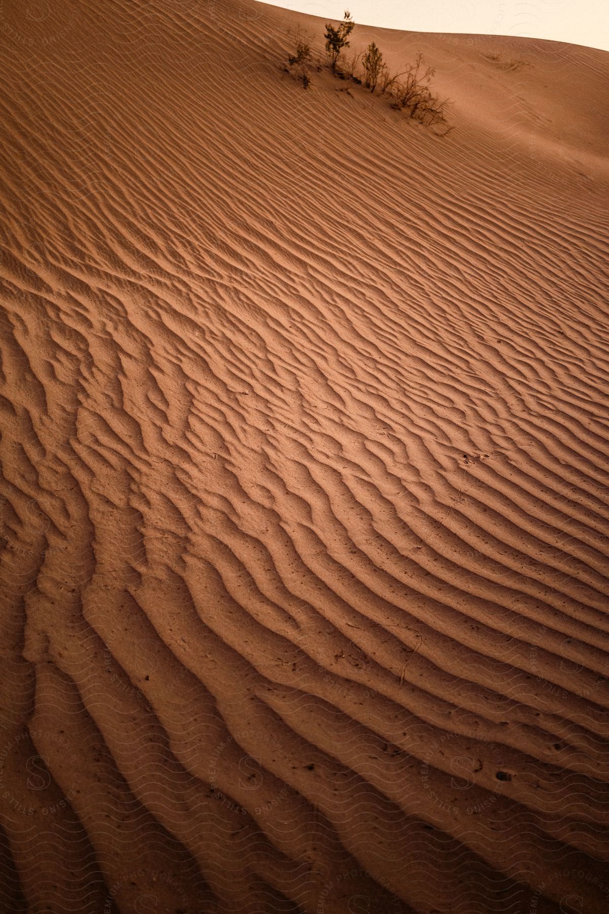 Stock photo of wavy sand ridge lines in desert dune slope partially lit by sun