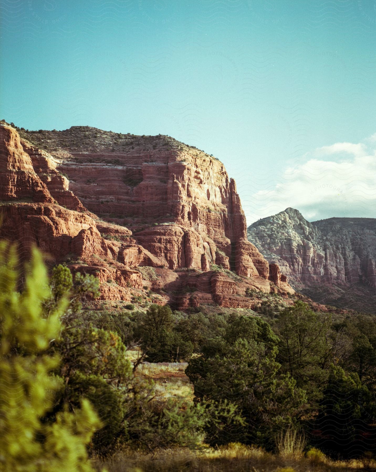 A mountain landscape with grasses and trees in an outdoor setting during the daytime