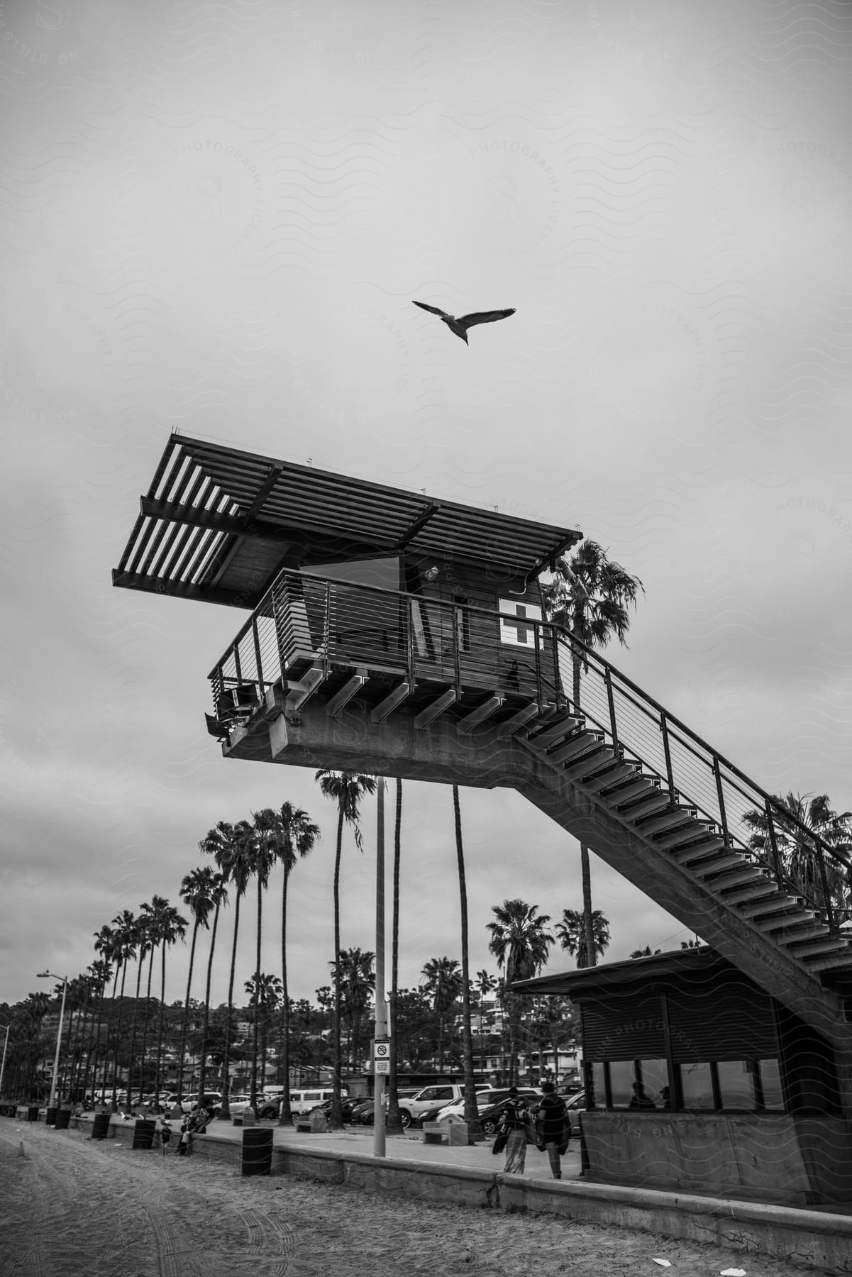 A bird flies over a lifeguard station at the beach