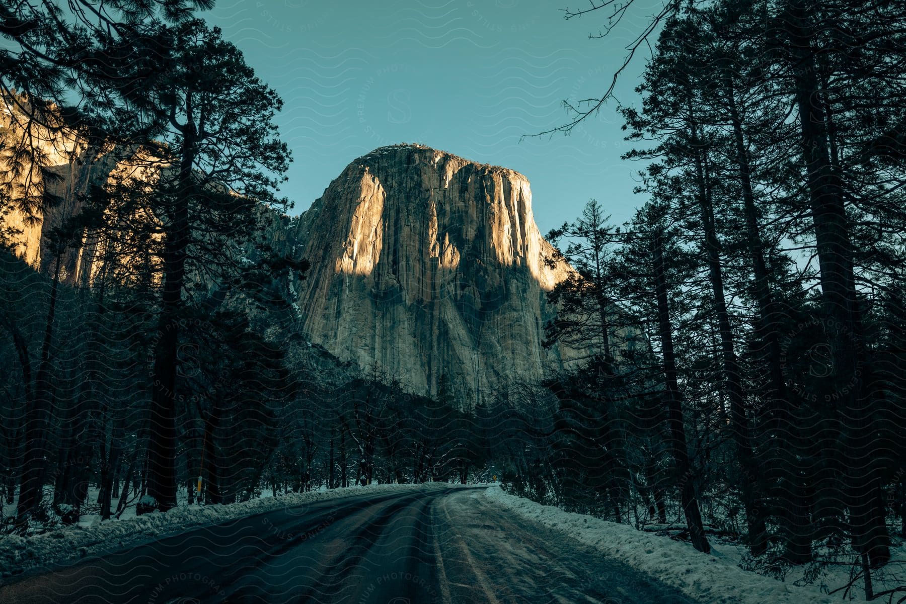 Landscape of a rocky mountain with a road in the middle of a snowy forest