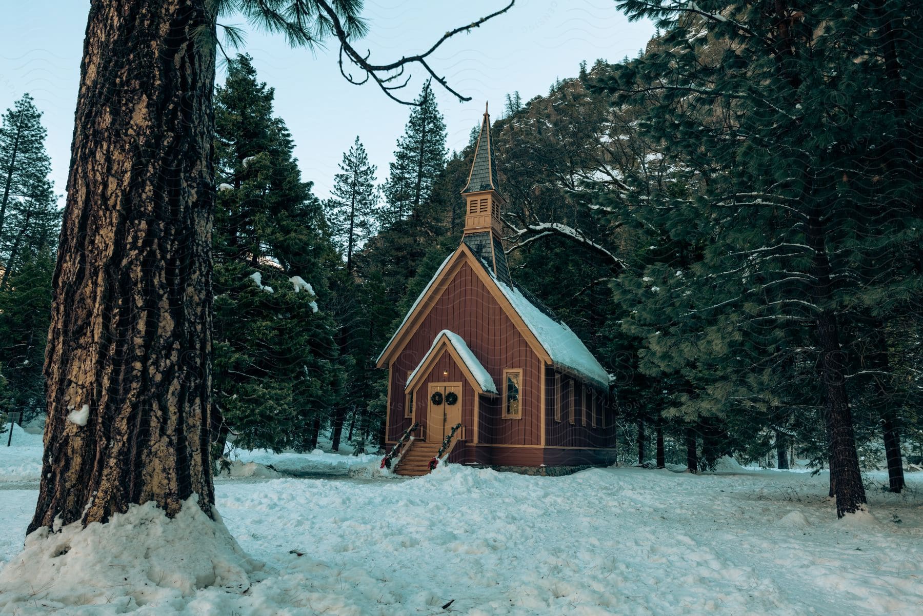A church surrounded by trees in a winter forest
