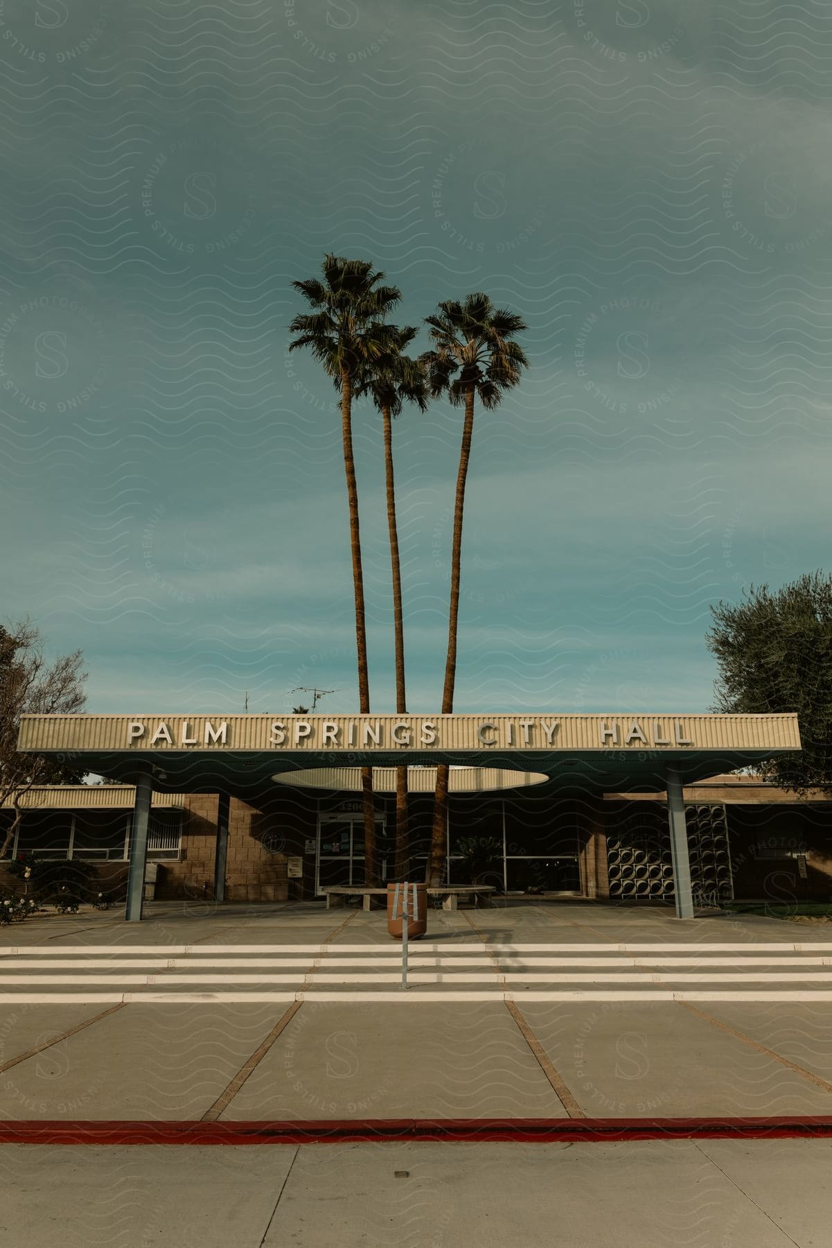 Palm springs city hall entryway with palm trees growing through the overhanging roof