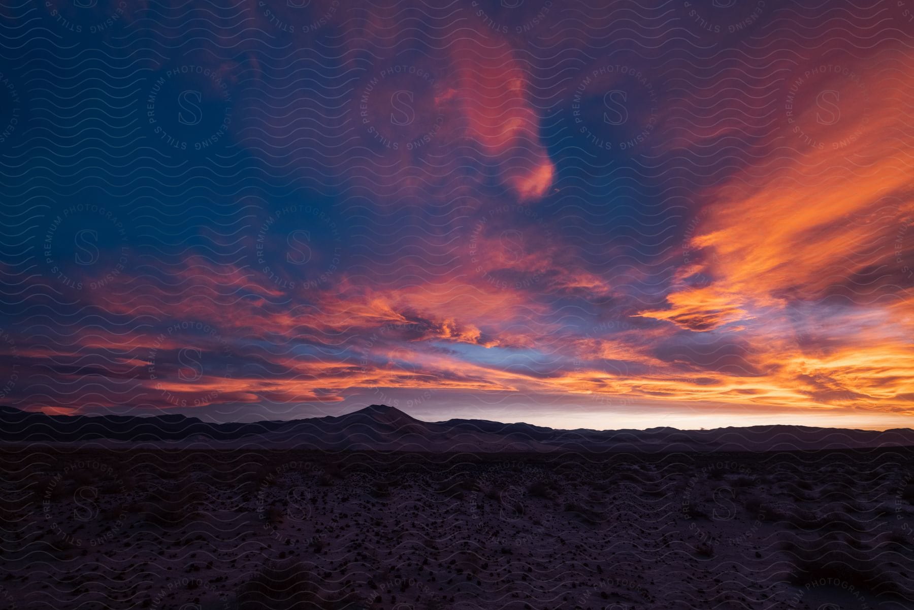 Mountains and a dry landscape are visible behind in this image taken at sunset