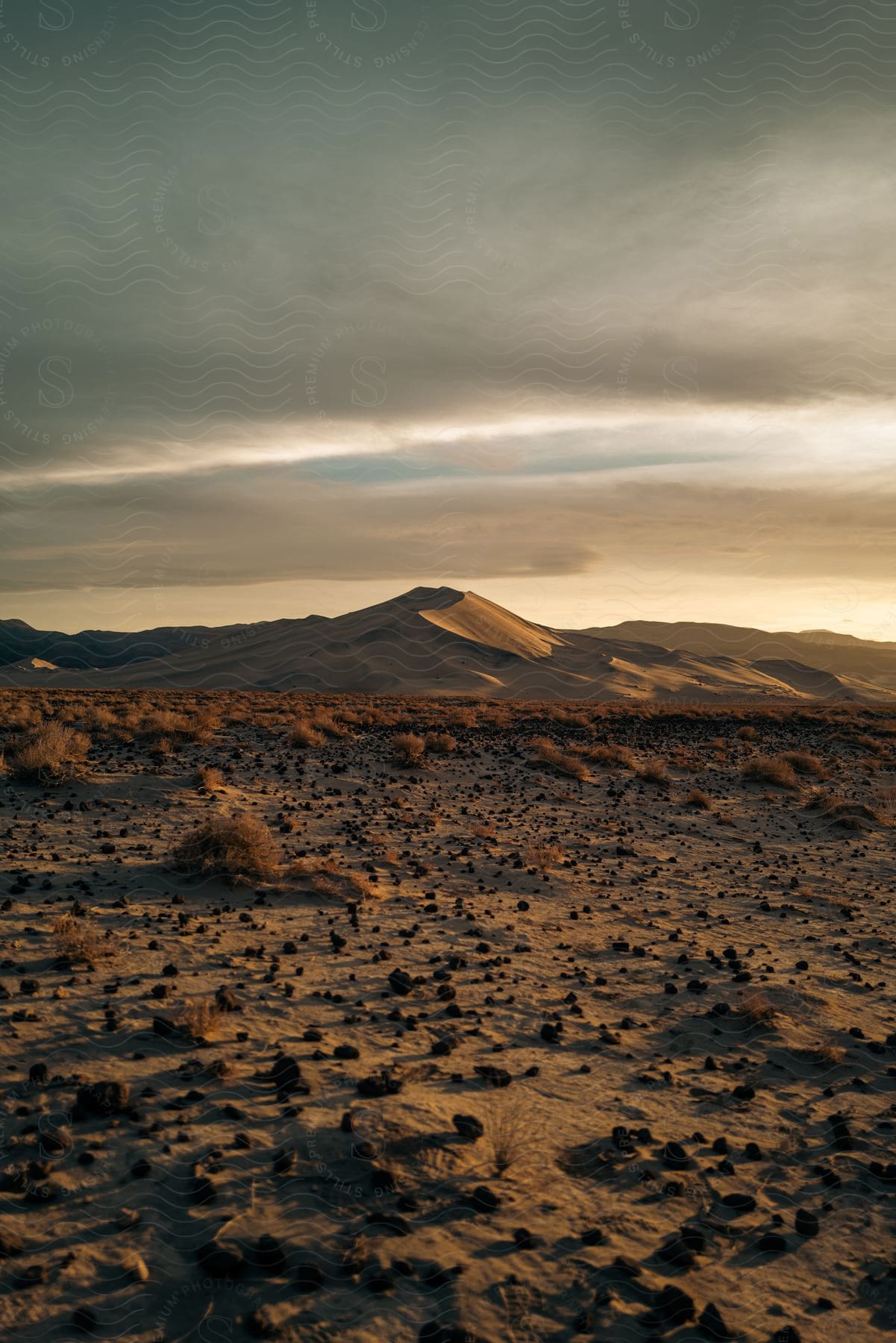 Desert landscape with scattered plants and mountains under a cloudy sky