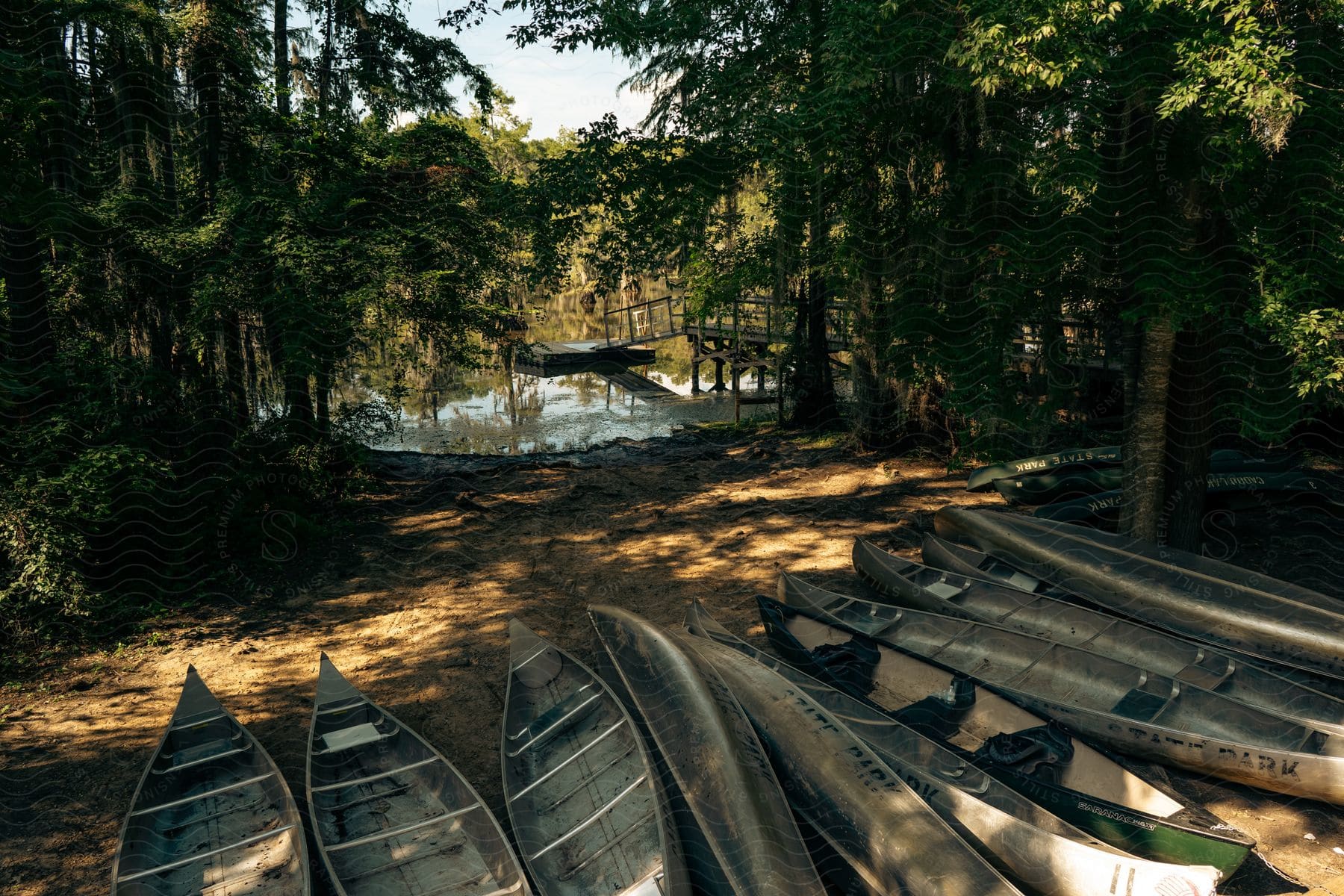 A serene natural landscape with trees and sunlight shining through the shade