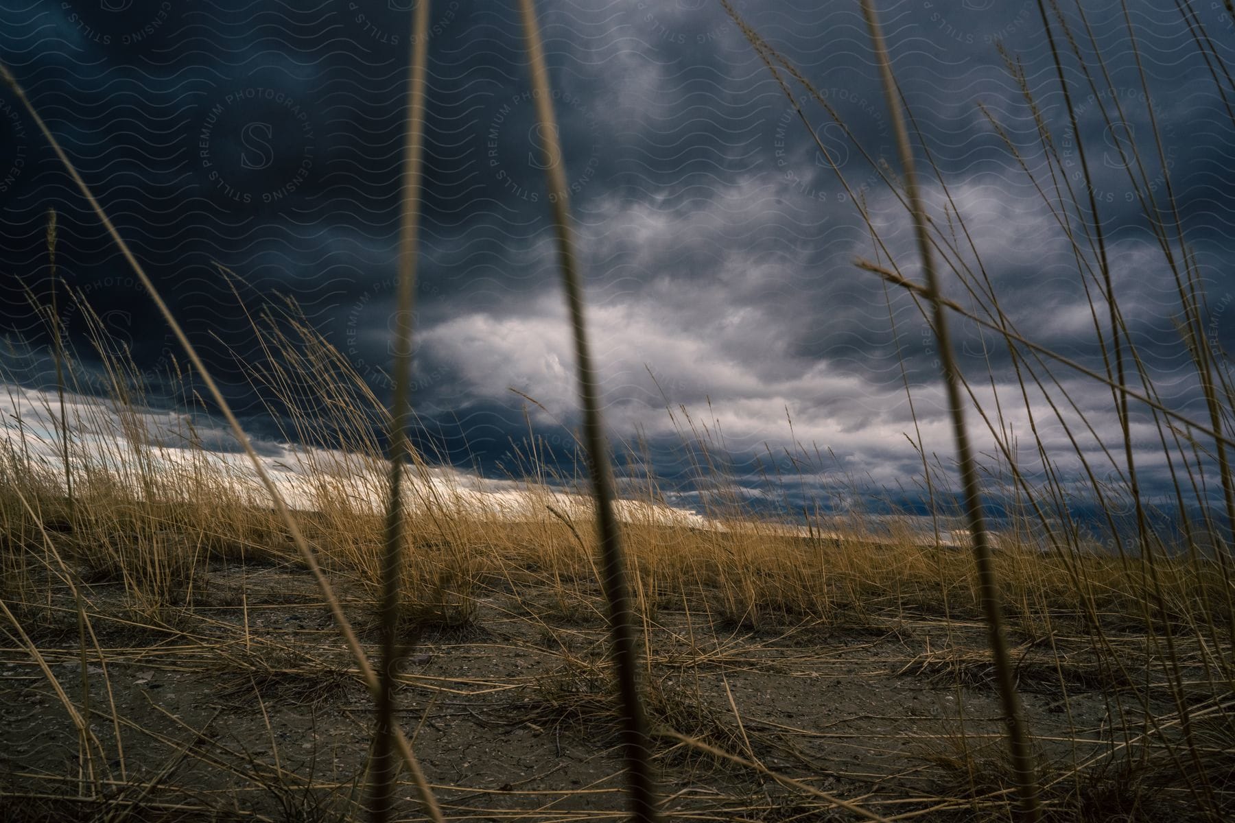 A storm in a grassland field at dusk