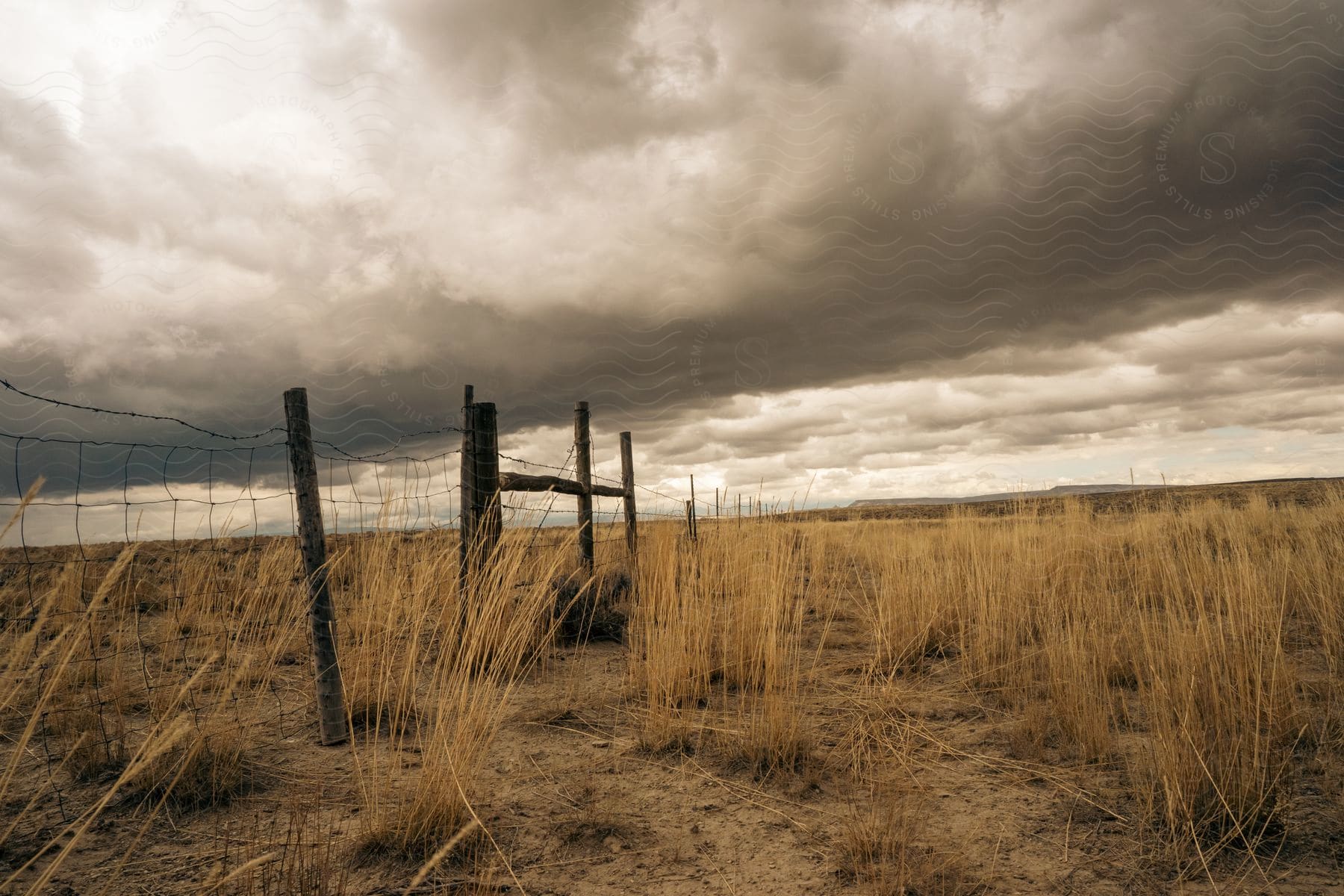 A wire fence divides the arid grassland