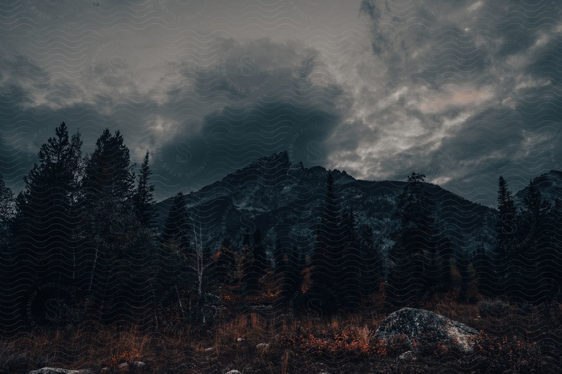 Mountains and forest on a cloudy day