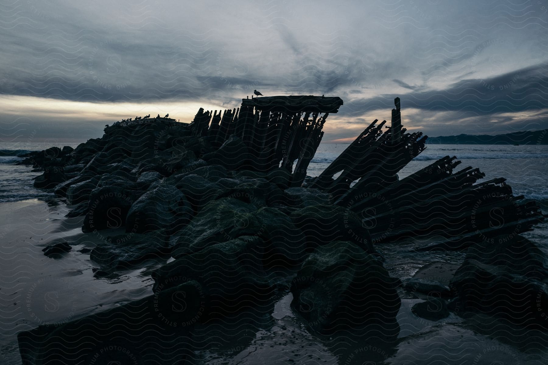 A bird perches on a pier by the ocean at dusk