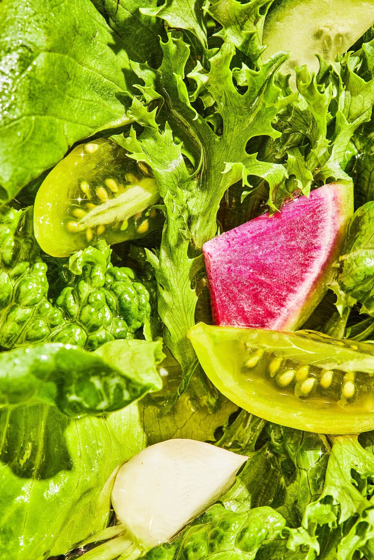 A closeup of a salad with various green ingredients featuring a pink fruit in the center and something white at the bottom