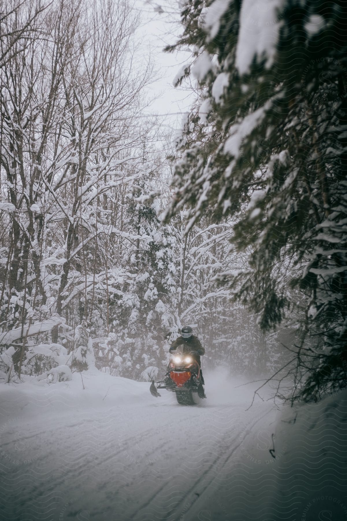 A Person Riding A Snowmobile Through A Snowcovered Road In The Forest