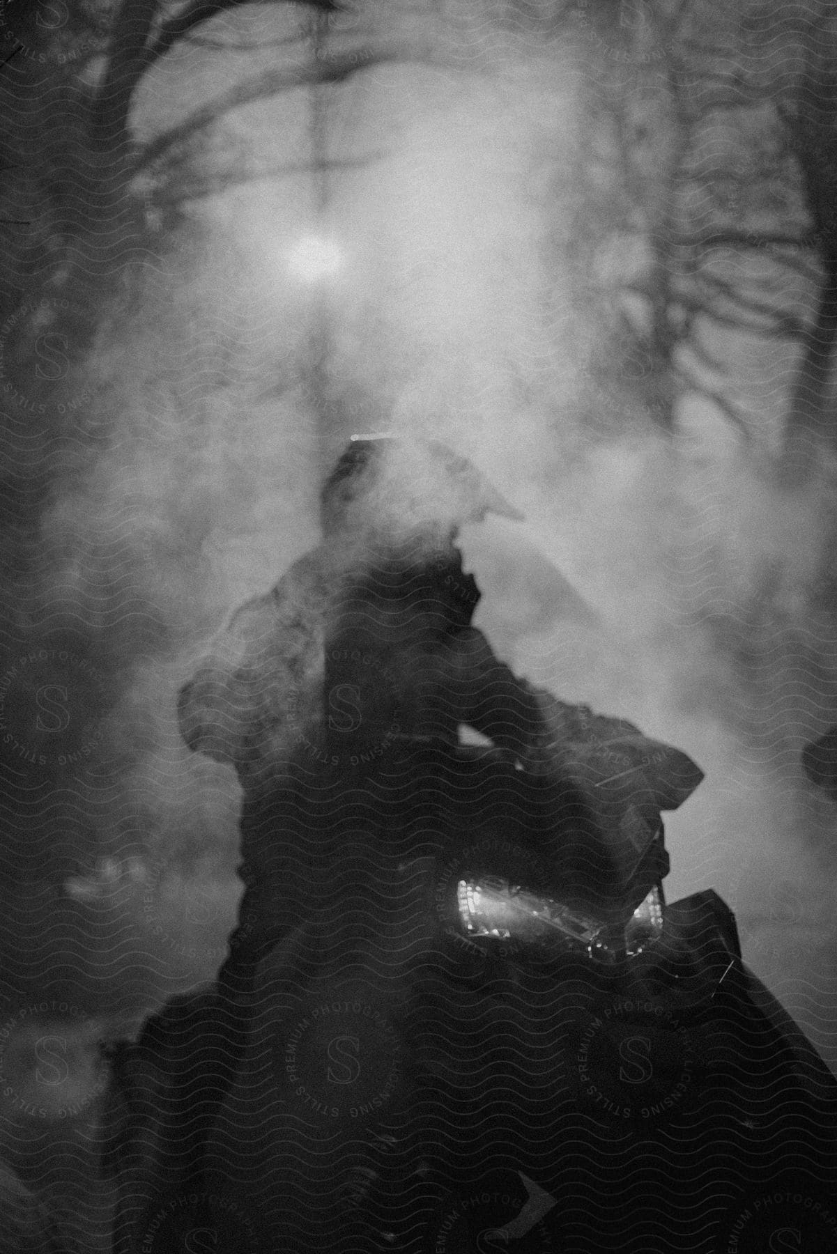 A person in a motor vehicle in a forest captured in black and white