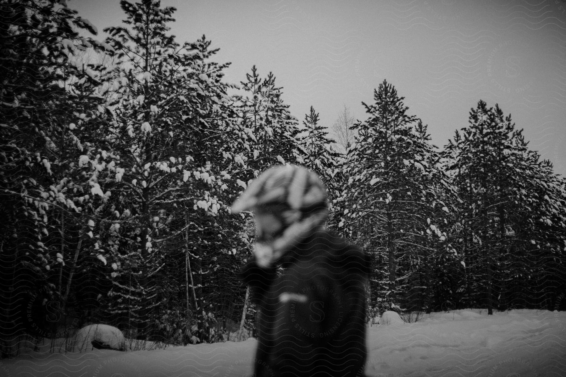 A person wearing a helmet stands before a snowcovered evergreen forest