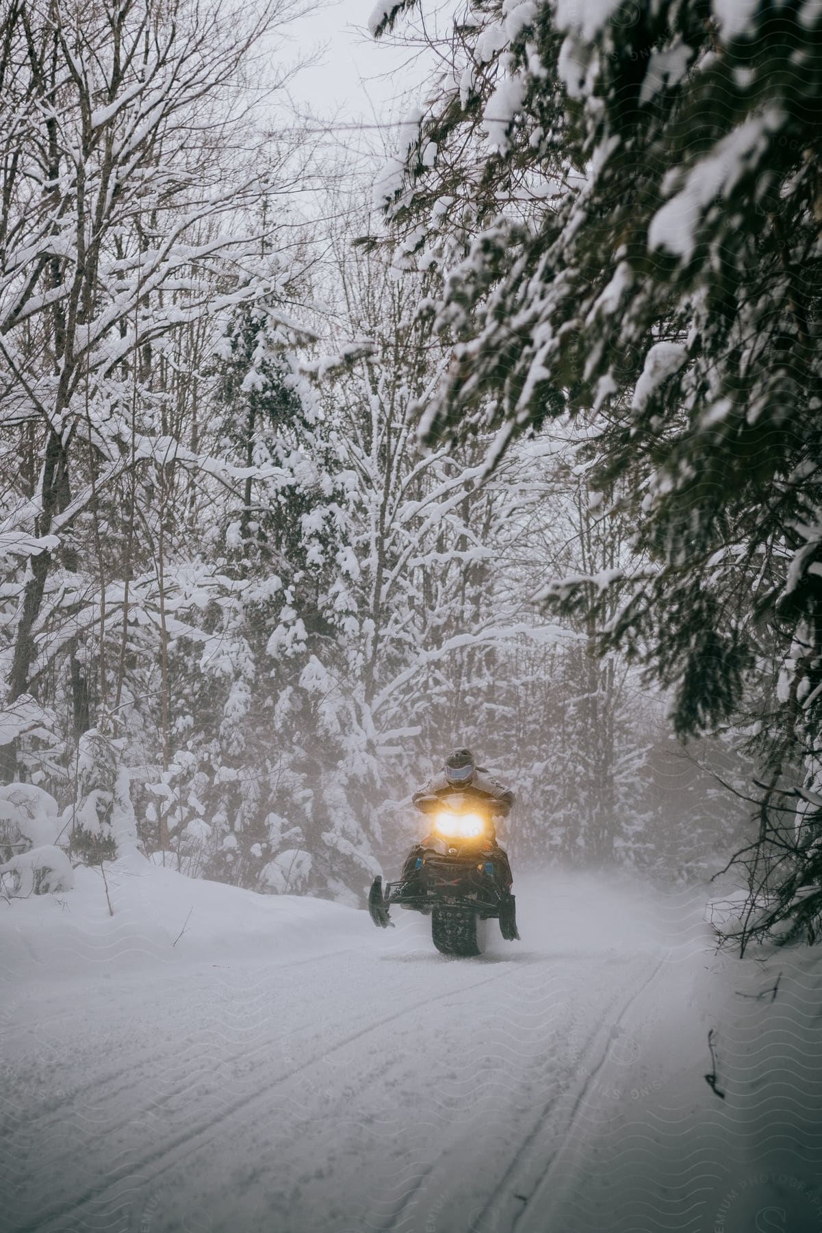 A snowmobile on a snow covered trail in a snow covered forest