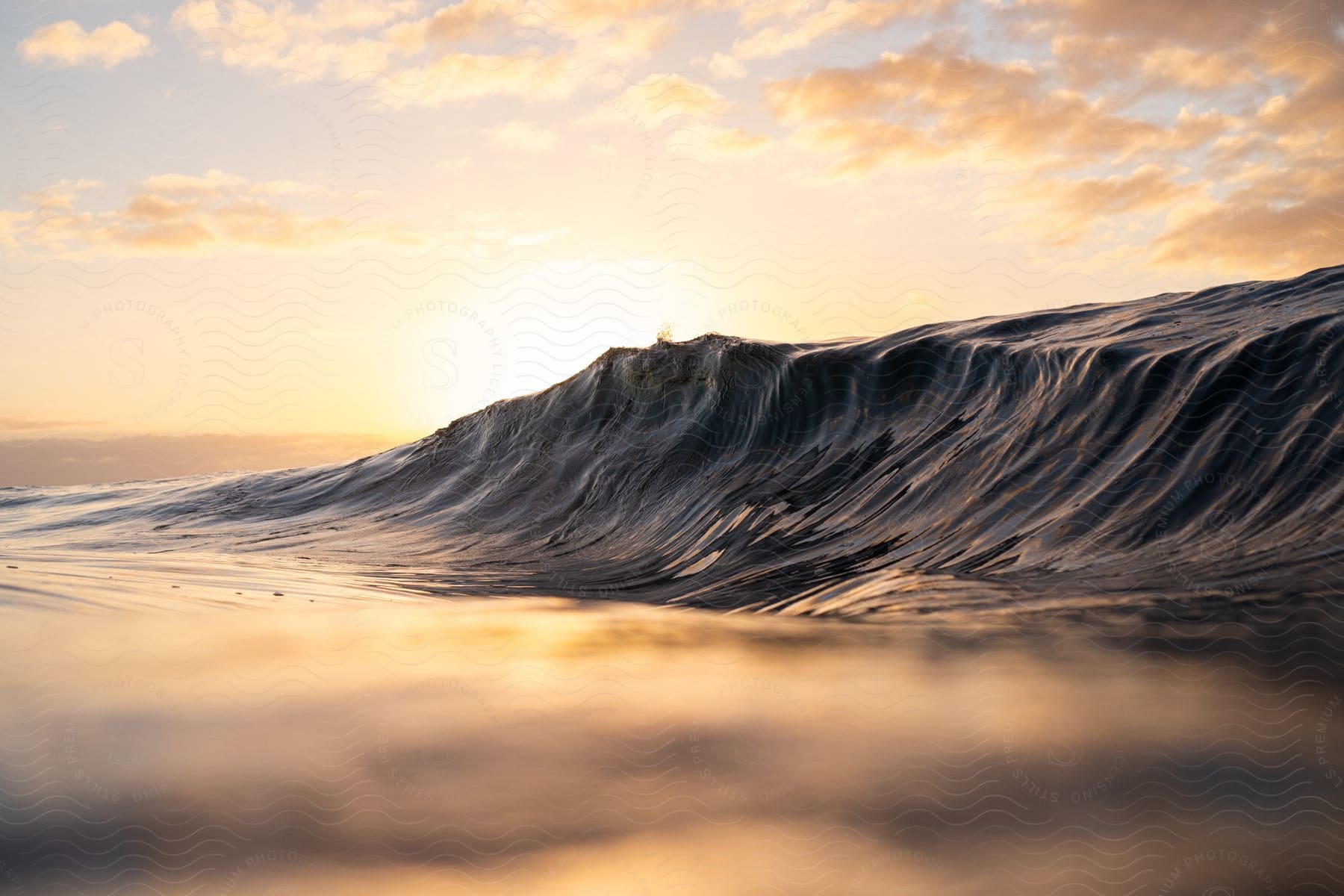 The sun shines behind an ocean wave