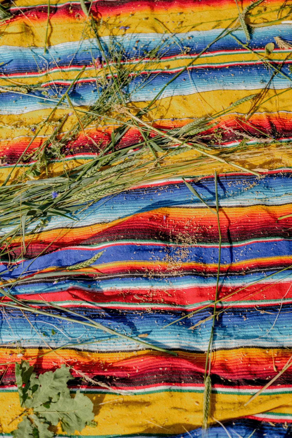 Grass On Colorful Fabric Illuminated By Sunlight