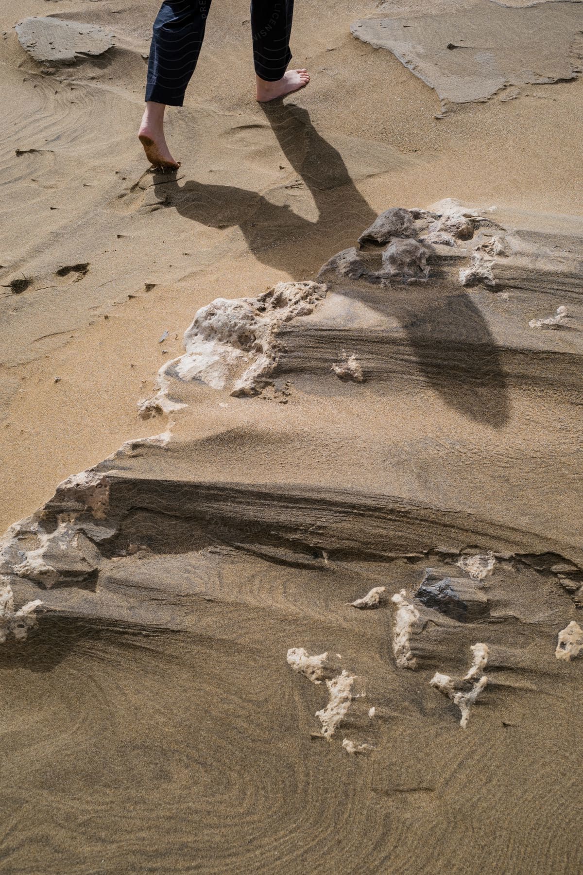 A person walking on a beach with a dog