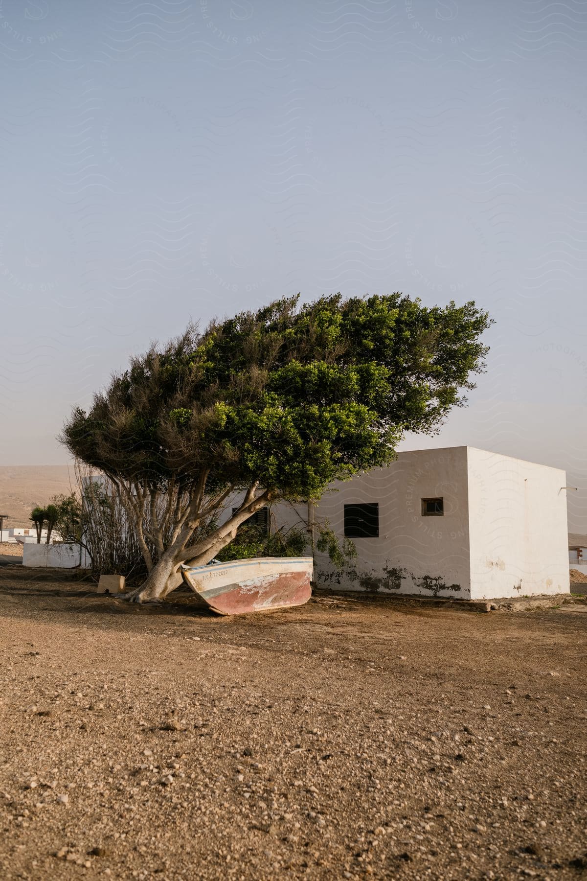 A white house with a tree and a canoe in front of it