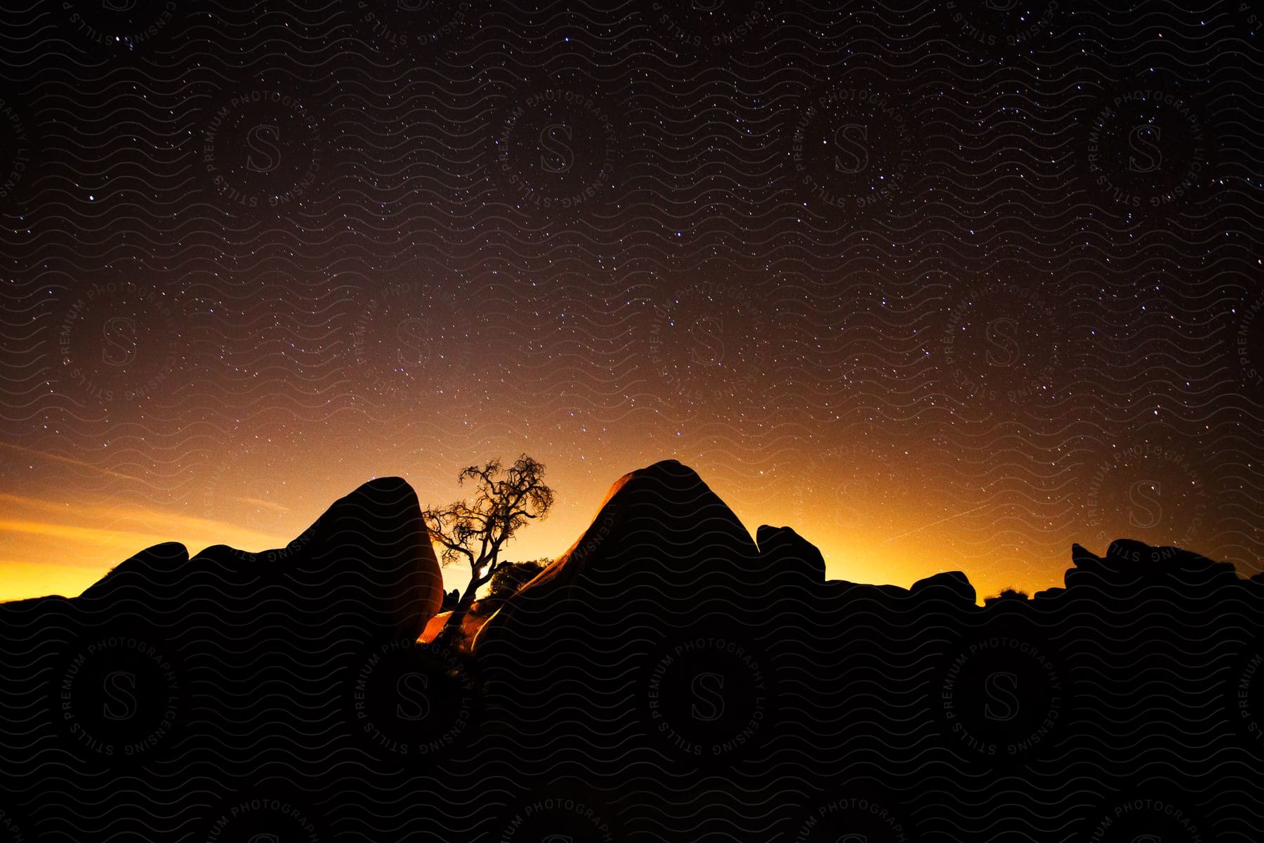 A sunset landscape in joshua tree national park with a lone tree between two giant rocks