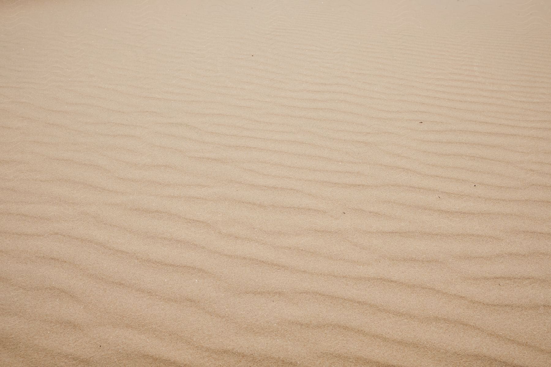 Desert sand pattern texture background of untouched white sand dune in the desert