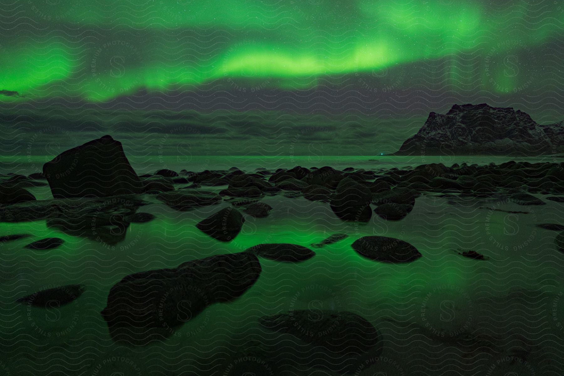 A tranquil winter night in lofoten norway with a serene water landscape under a green auroralit sky