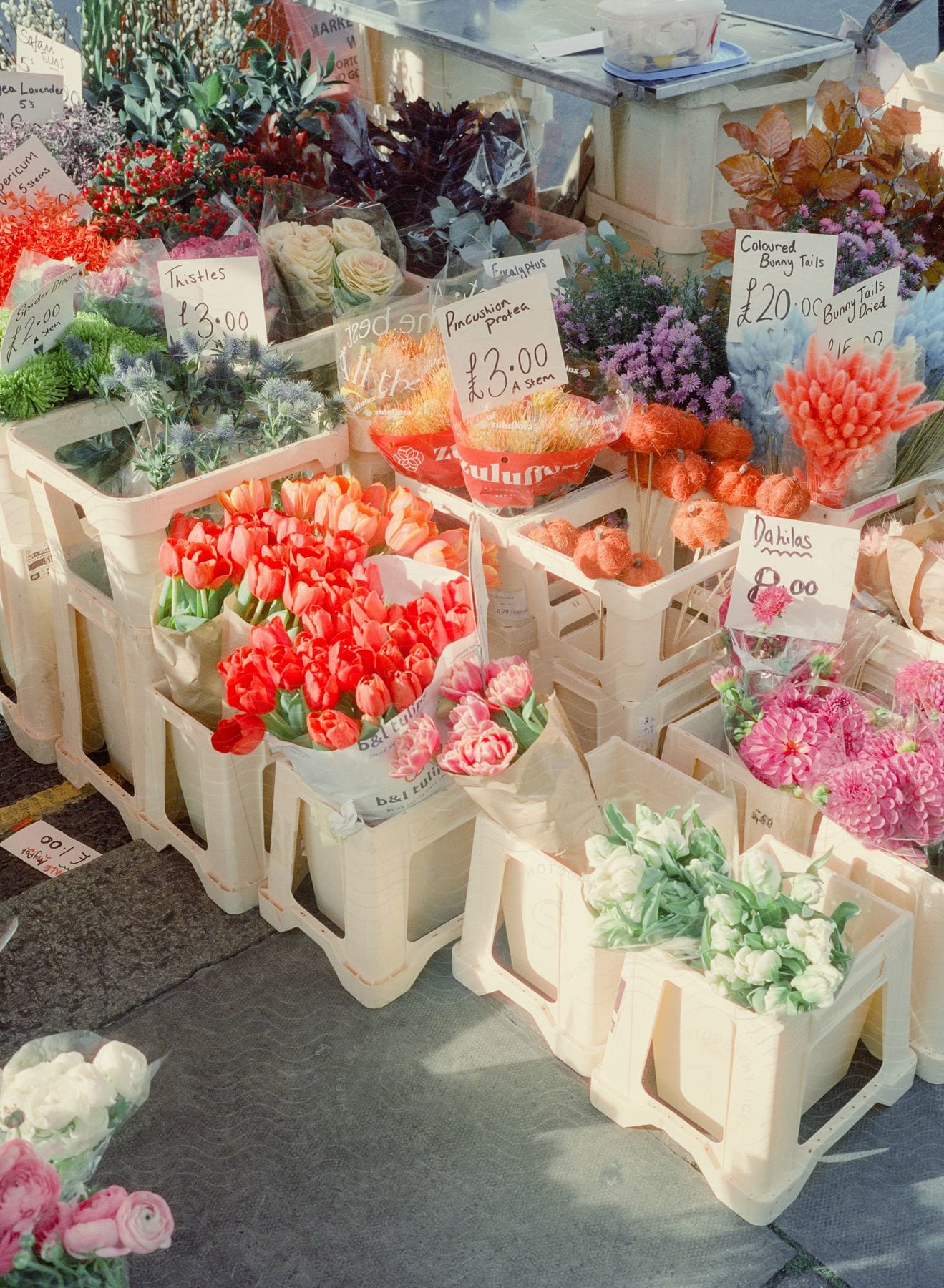 A flower arrangement with no people