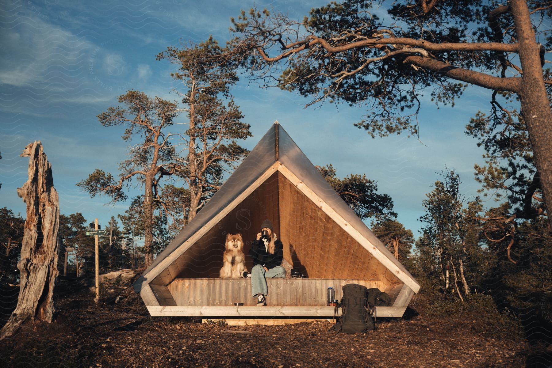 Stock photo of a young woman sits in a tent next to her dog in an outdoor setting