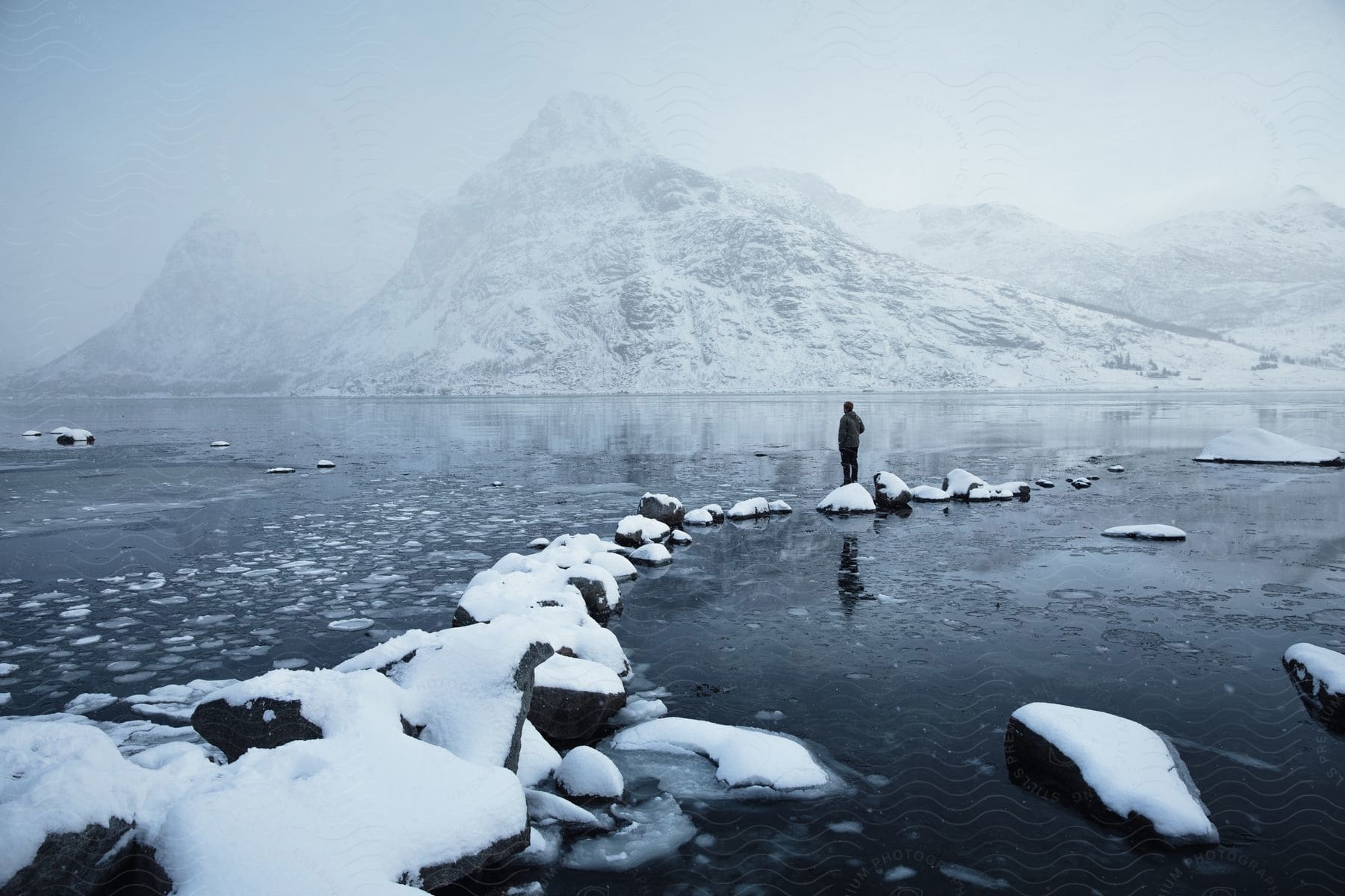 A person standing on the arctic looking at the scenery