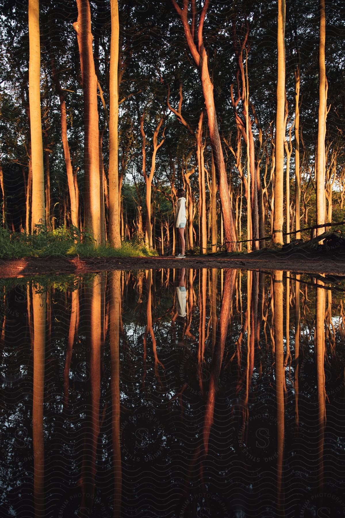 A woman in a white hoodie shorts and black shoes stands by a lake at sunset in a forest