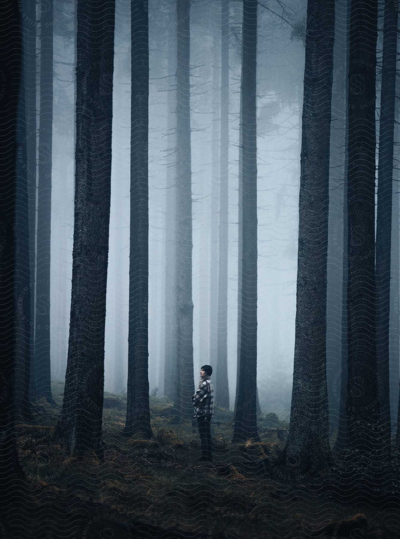 A person hiking through a foggy forest during the day